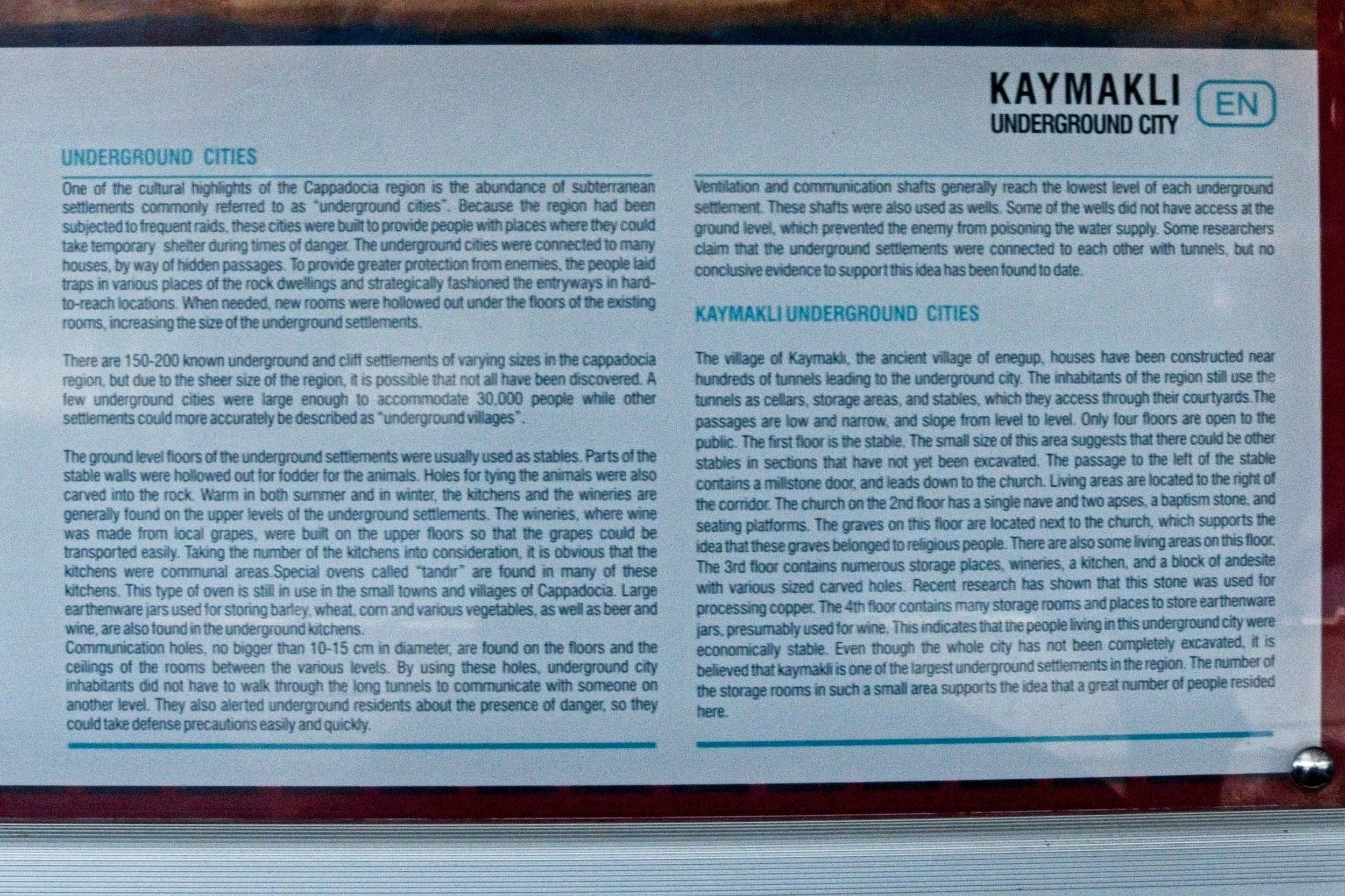 P1110264.jpg