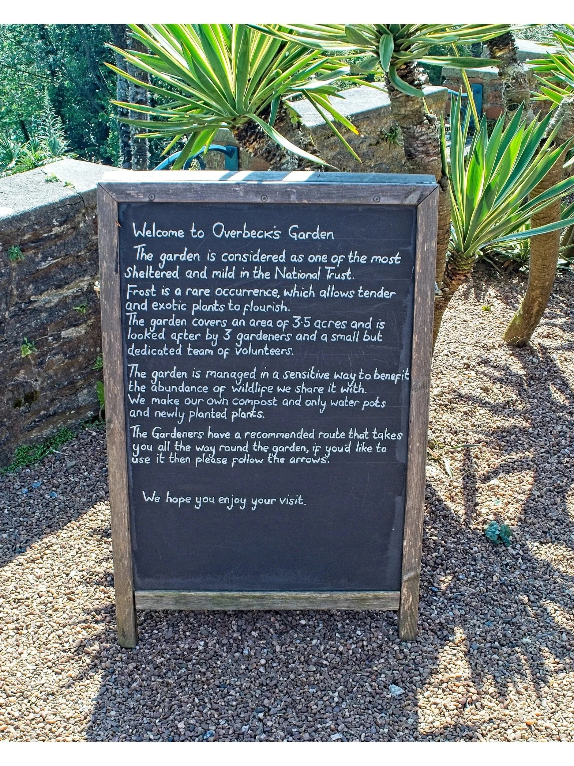P4290005.jpg