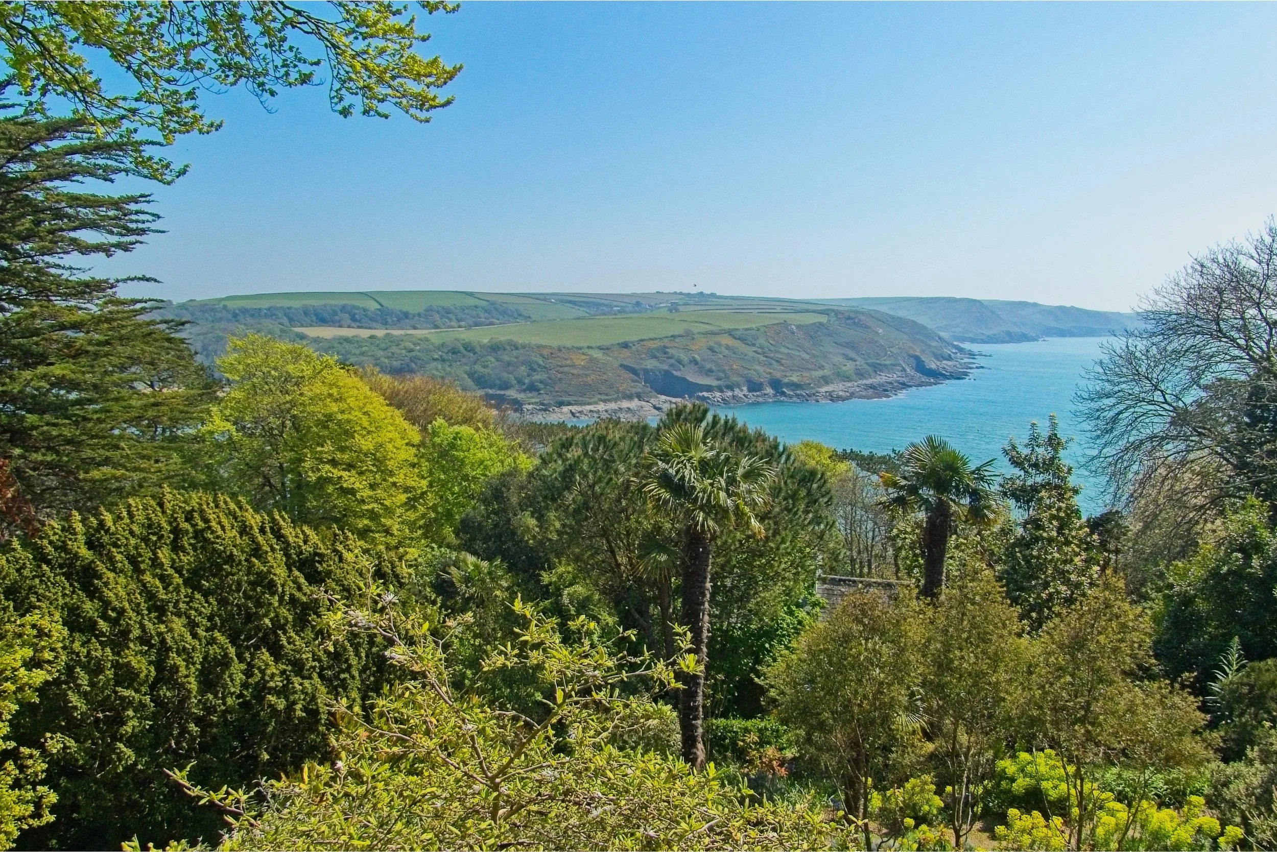 P1080027+1.jpg