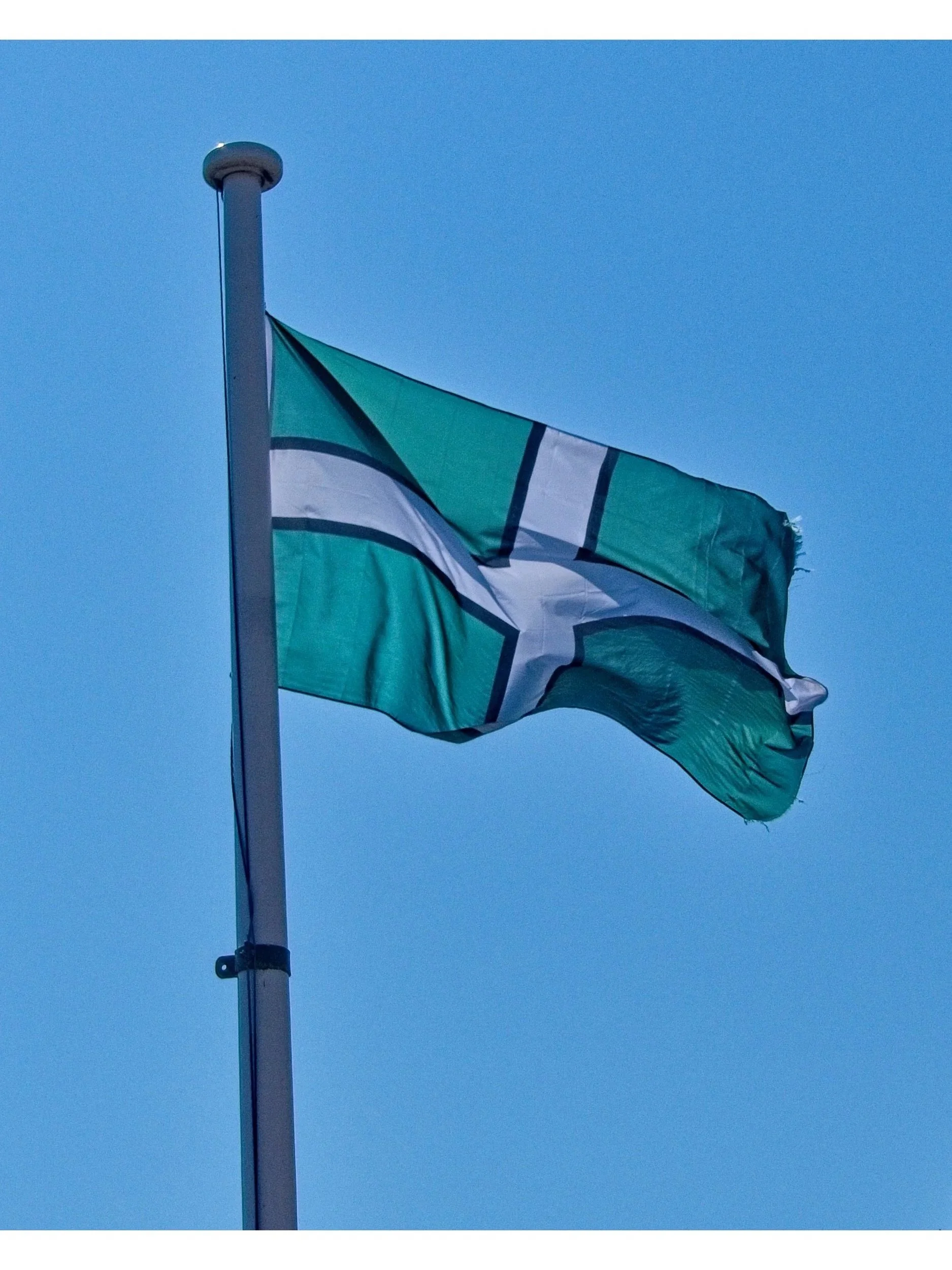 P1080040.jpg