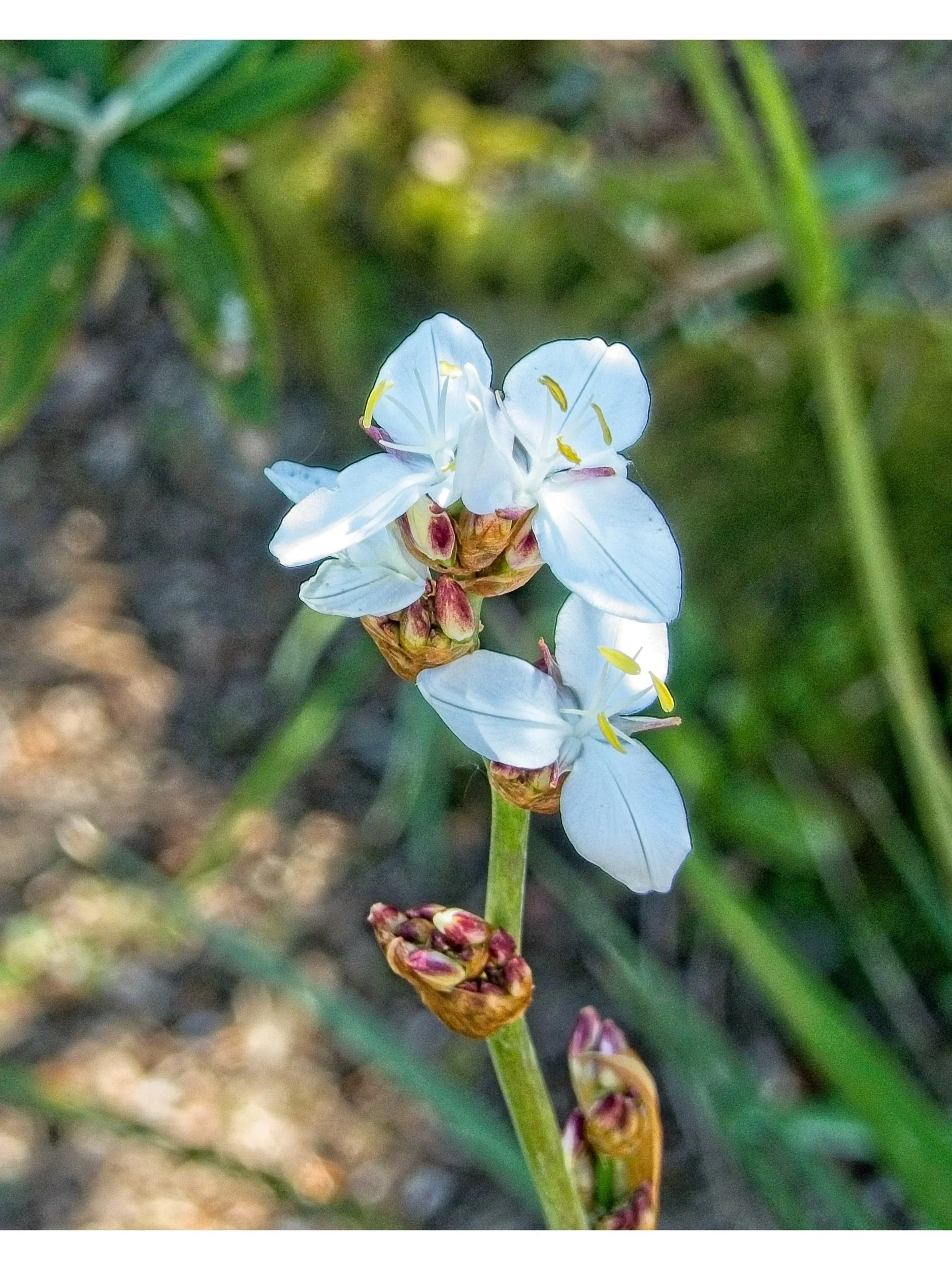 P1080046.jpg