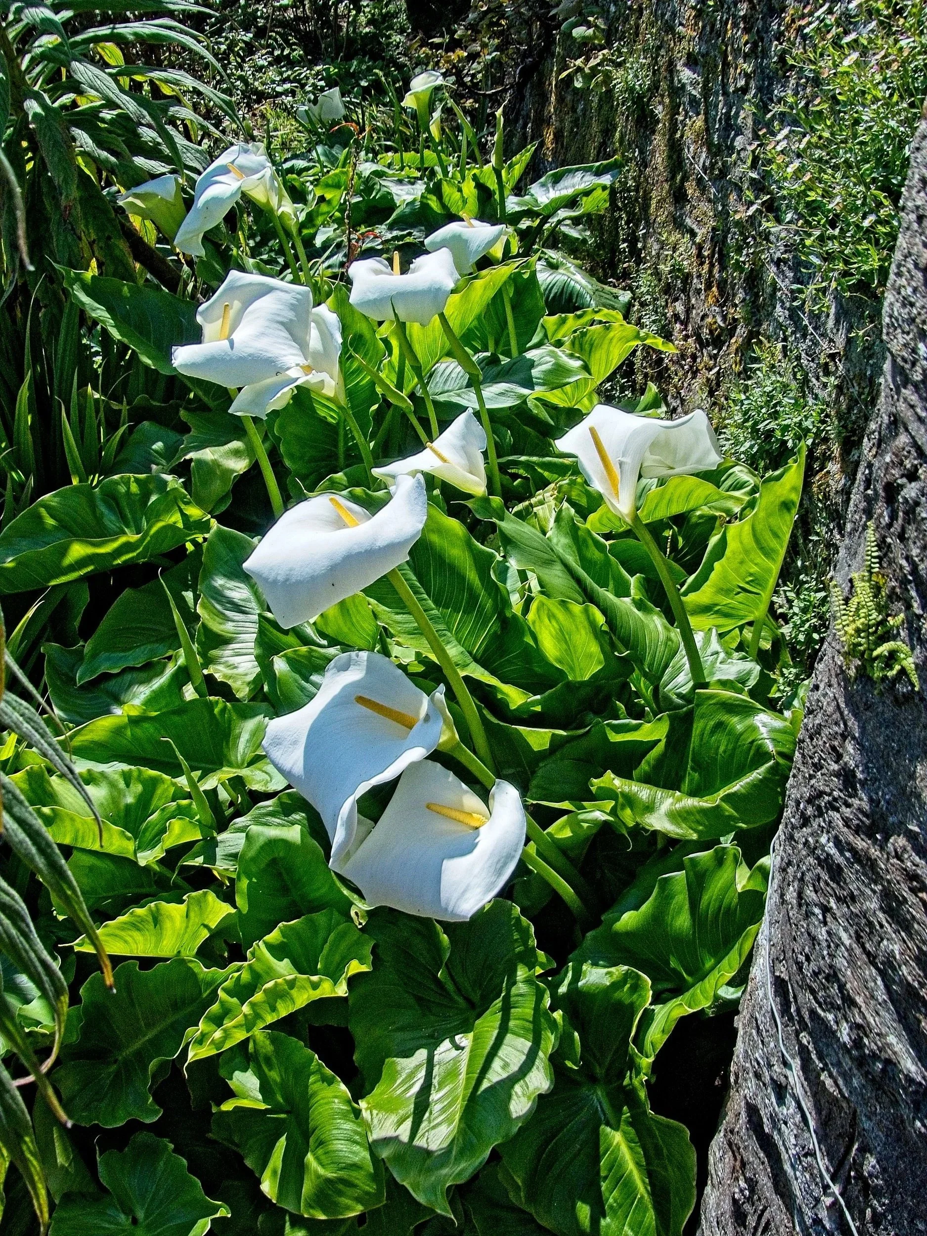 P1080074.jpg
