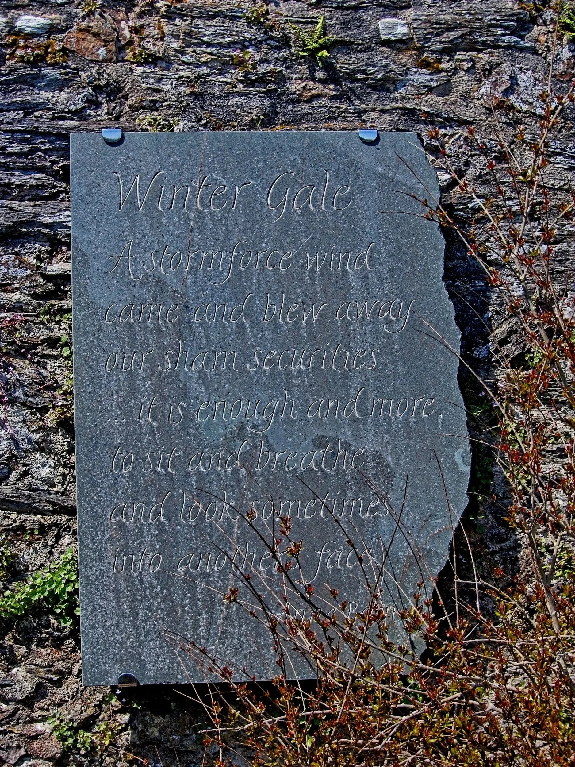 P1080077.jpg