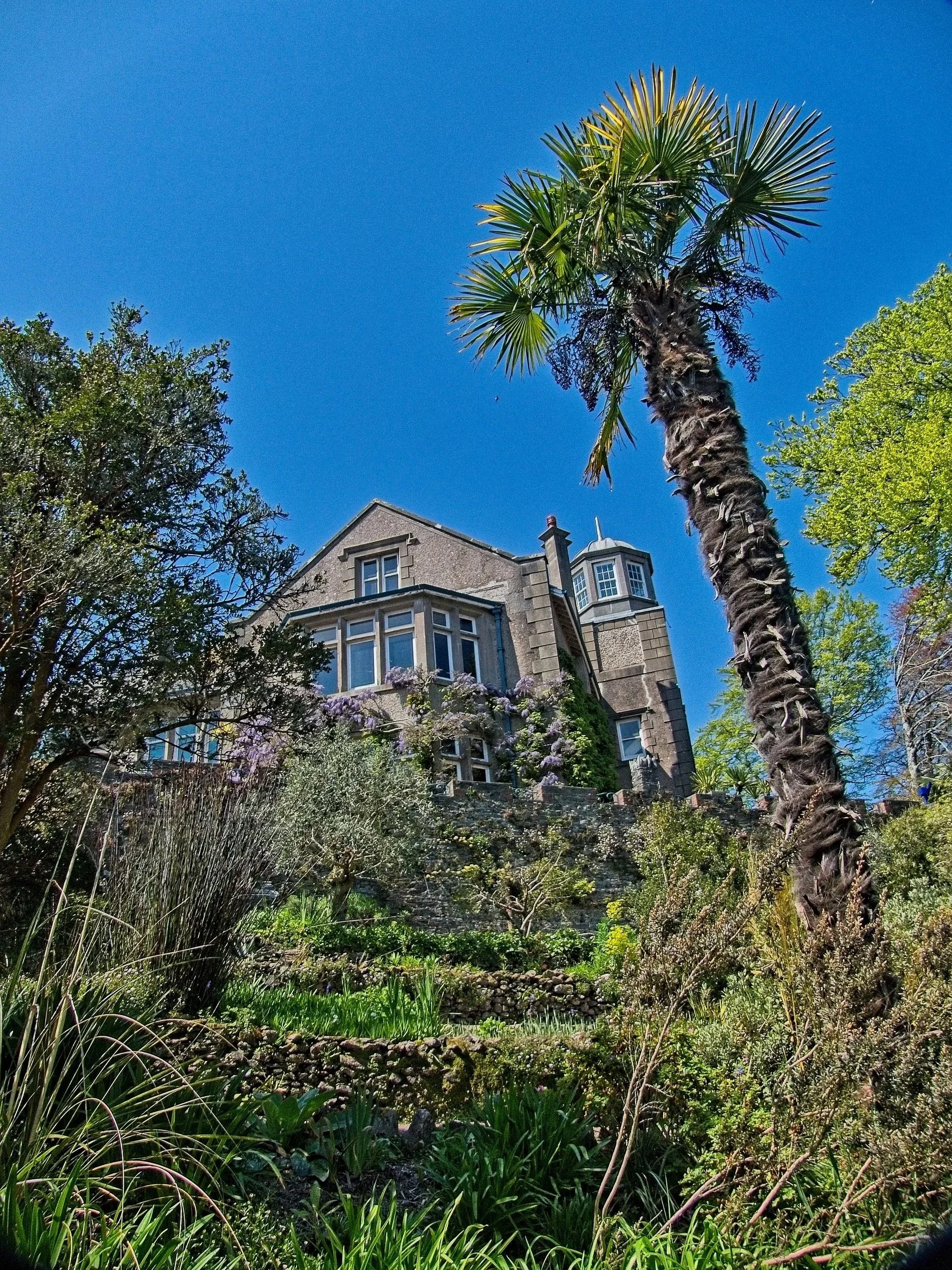 P1080085.jpg