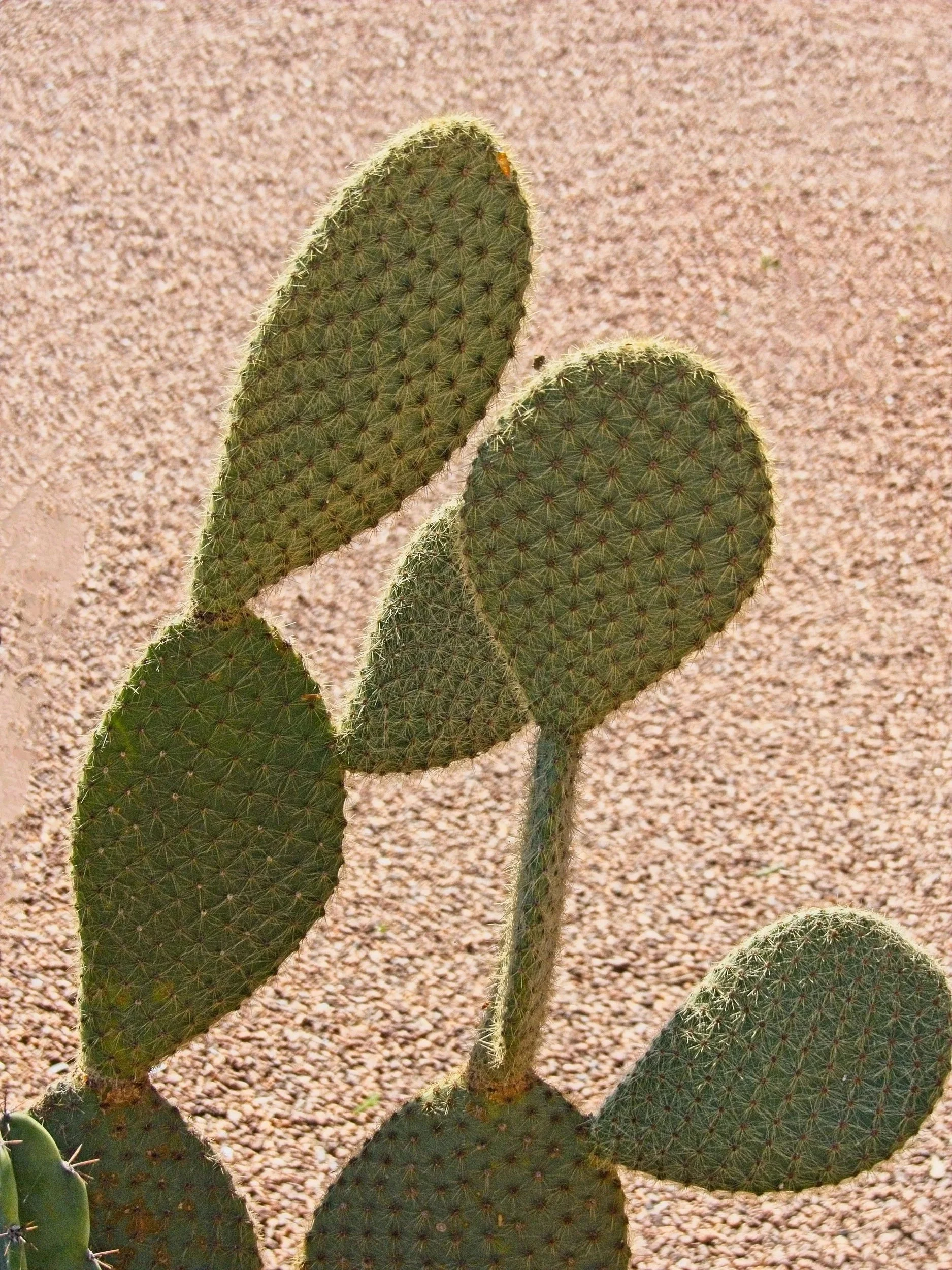 P1080087.jpg