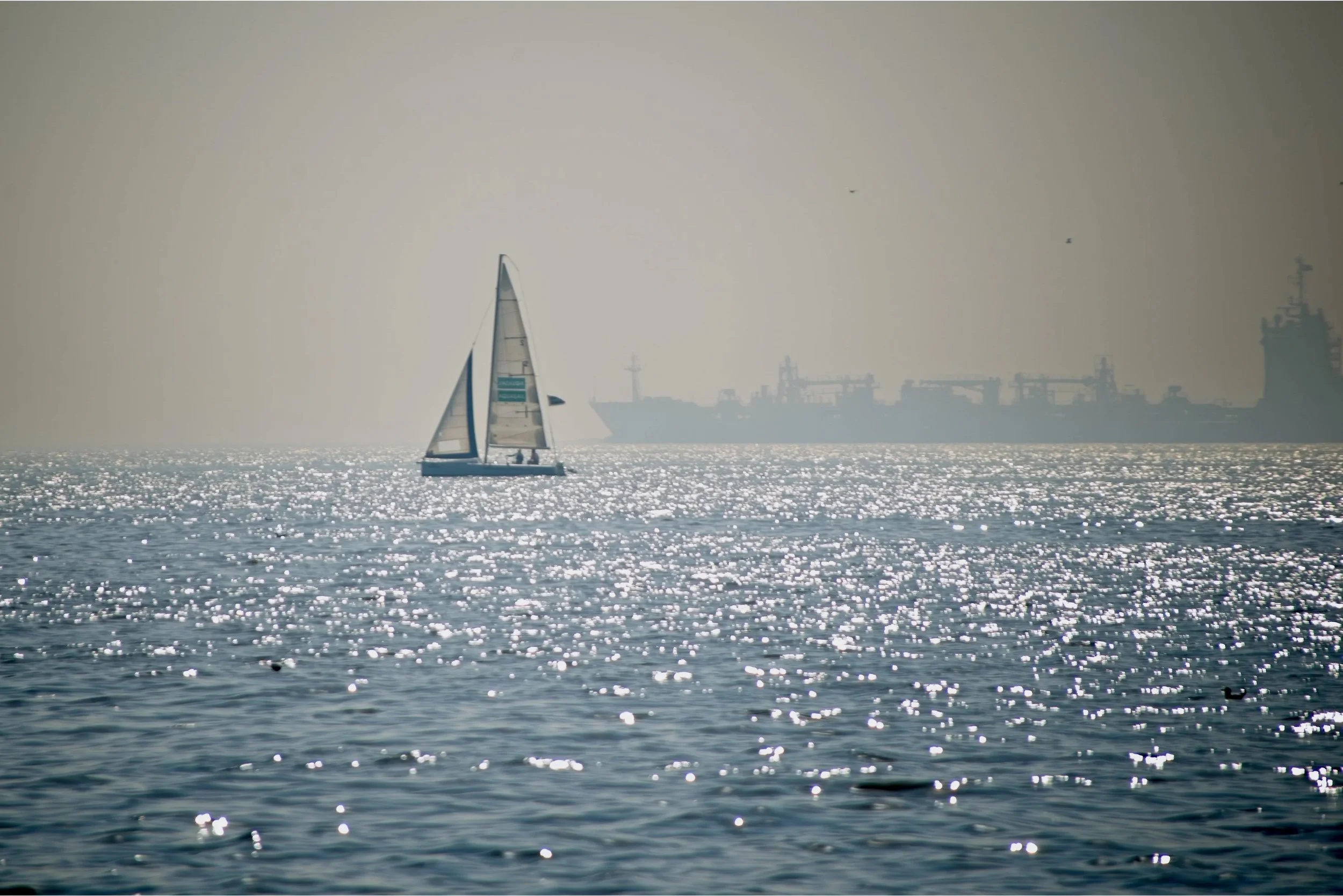 DSC_9614.jpg