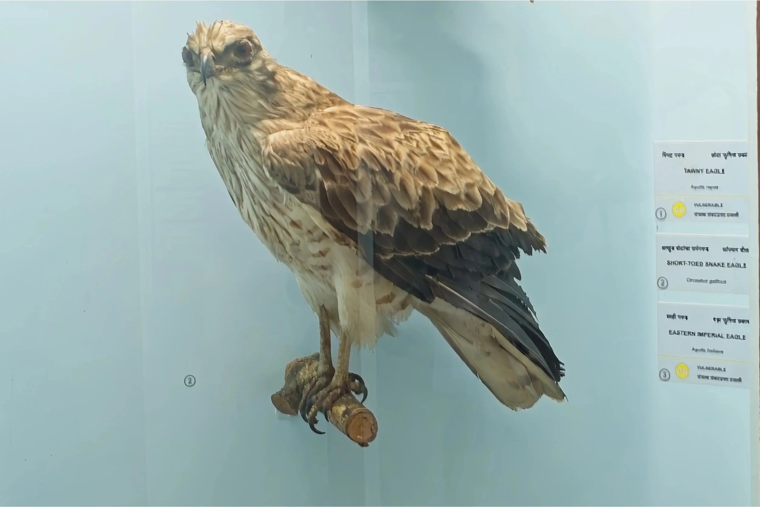 DSC_9705.jpg