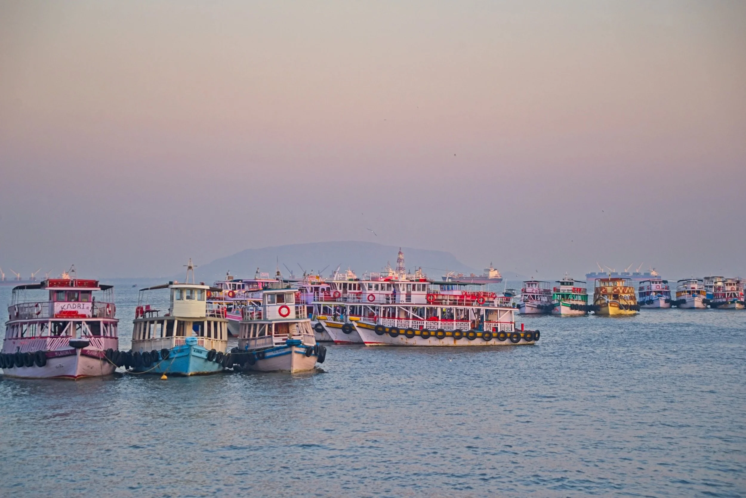 DSC_9772.jpg