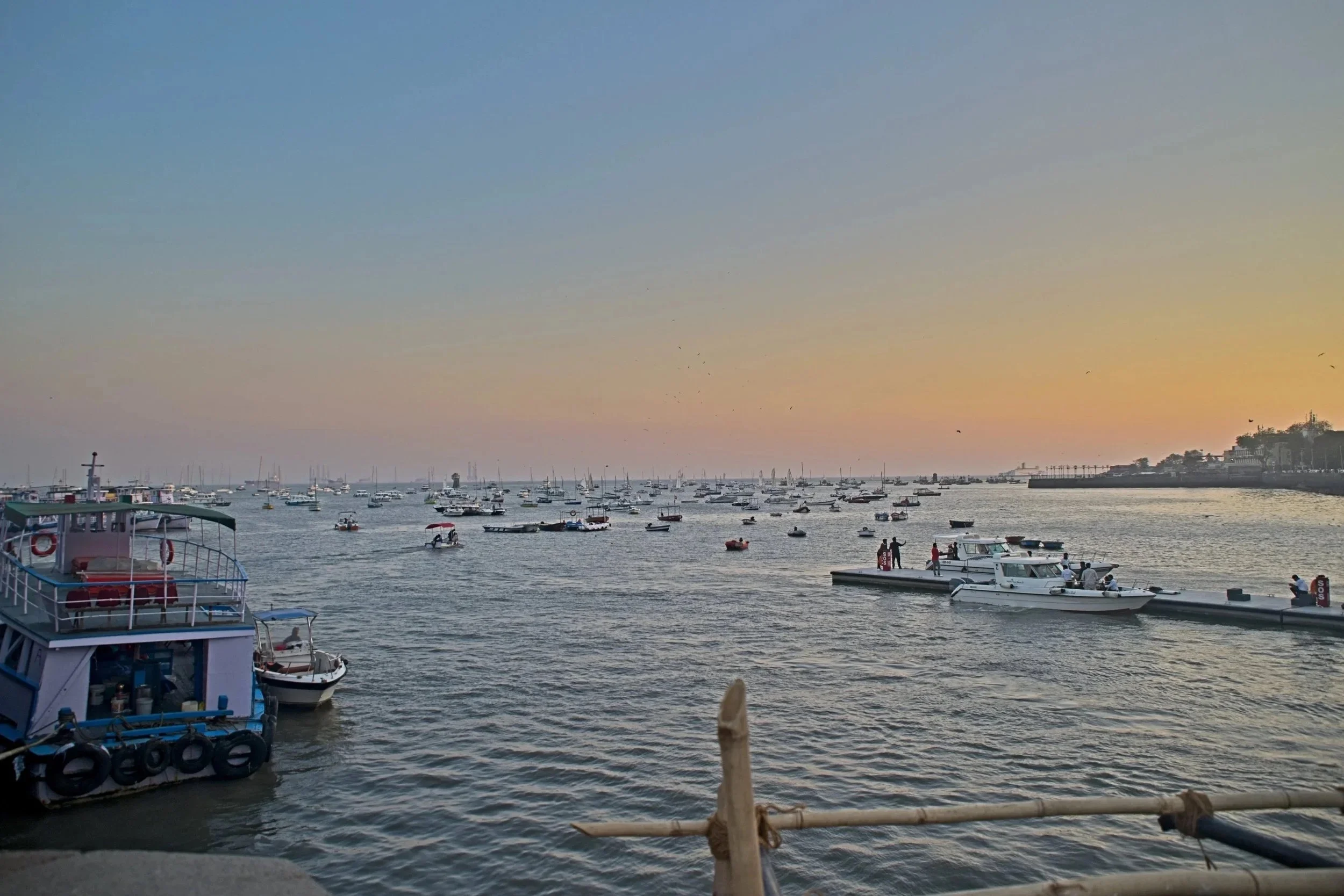 DSC_9768.jpg