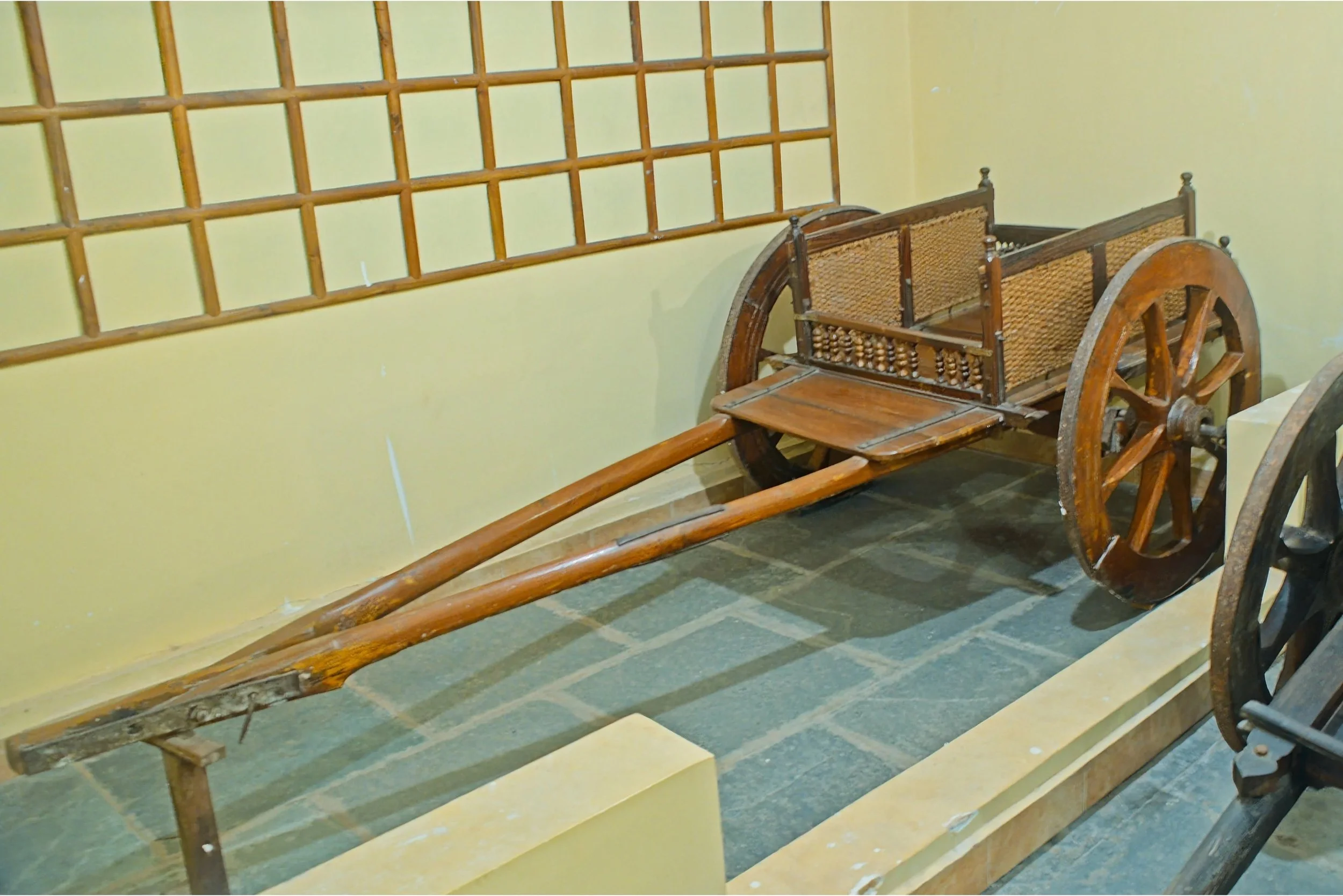 DSC_9814.jpg