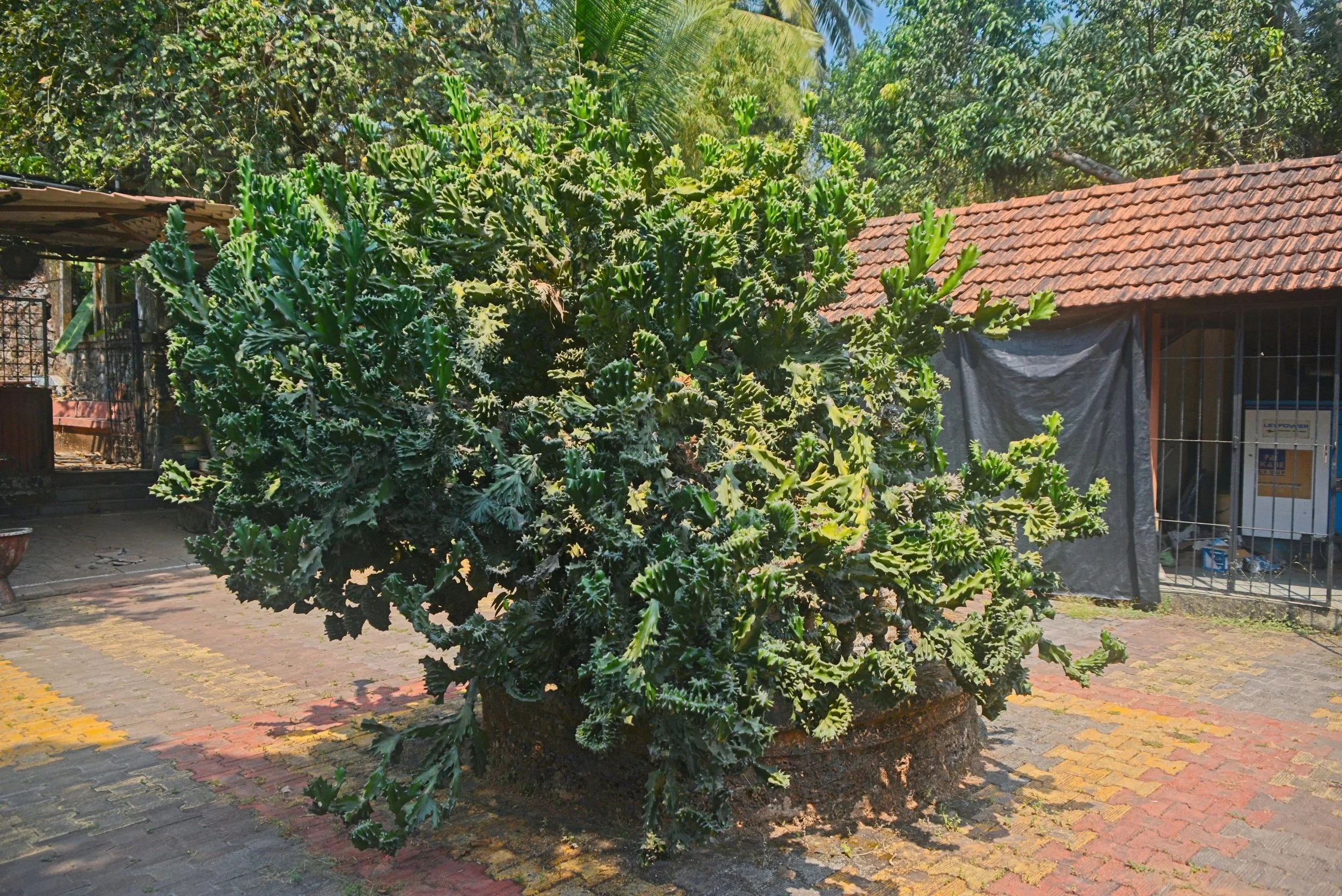 DSC_9848.jpg