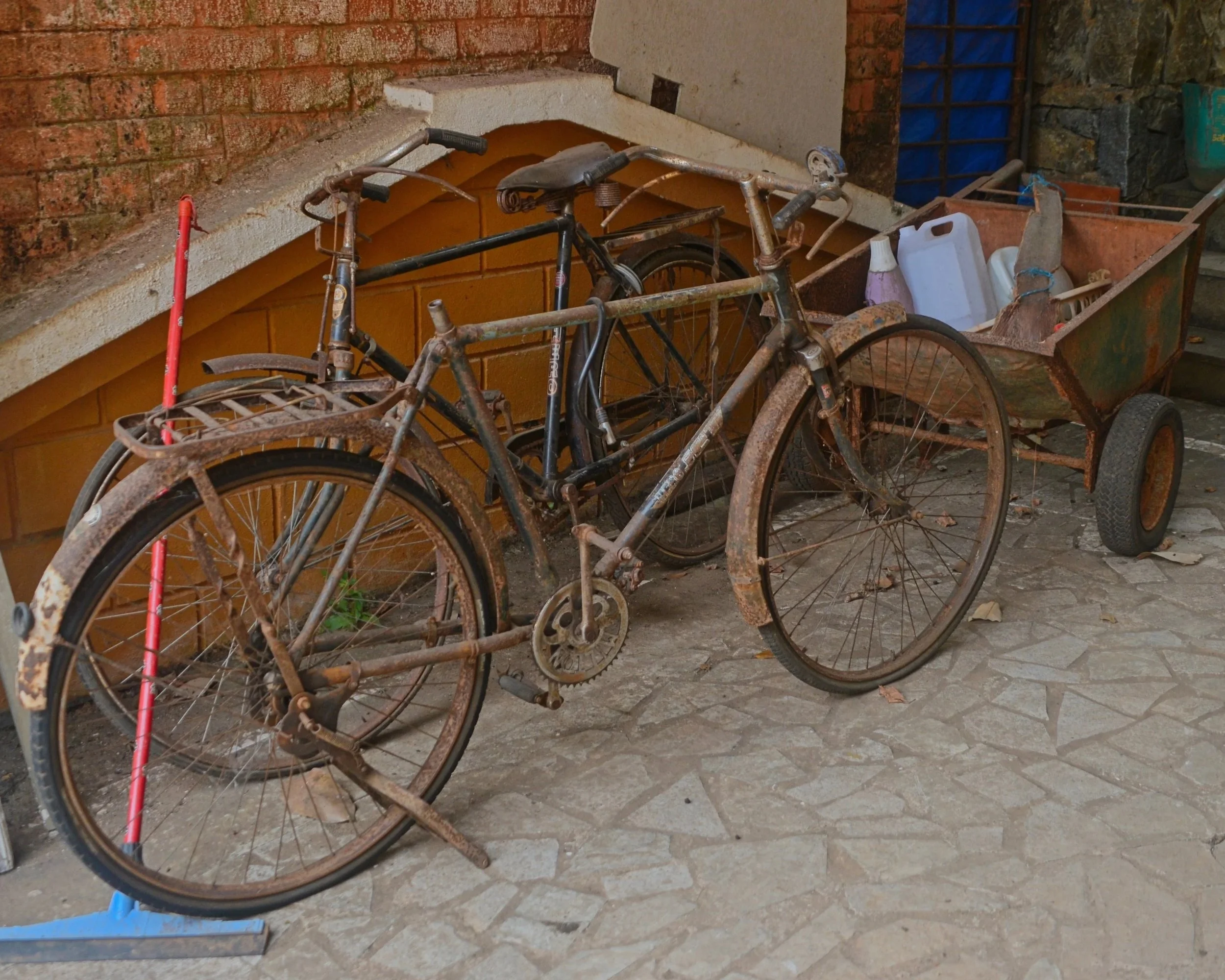 DSC_9859.jpg