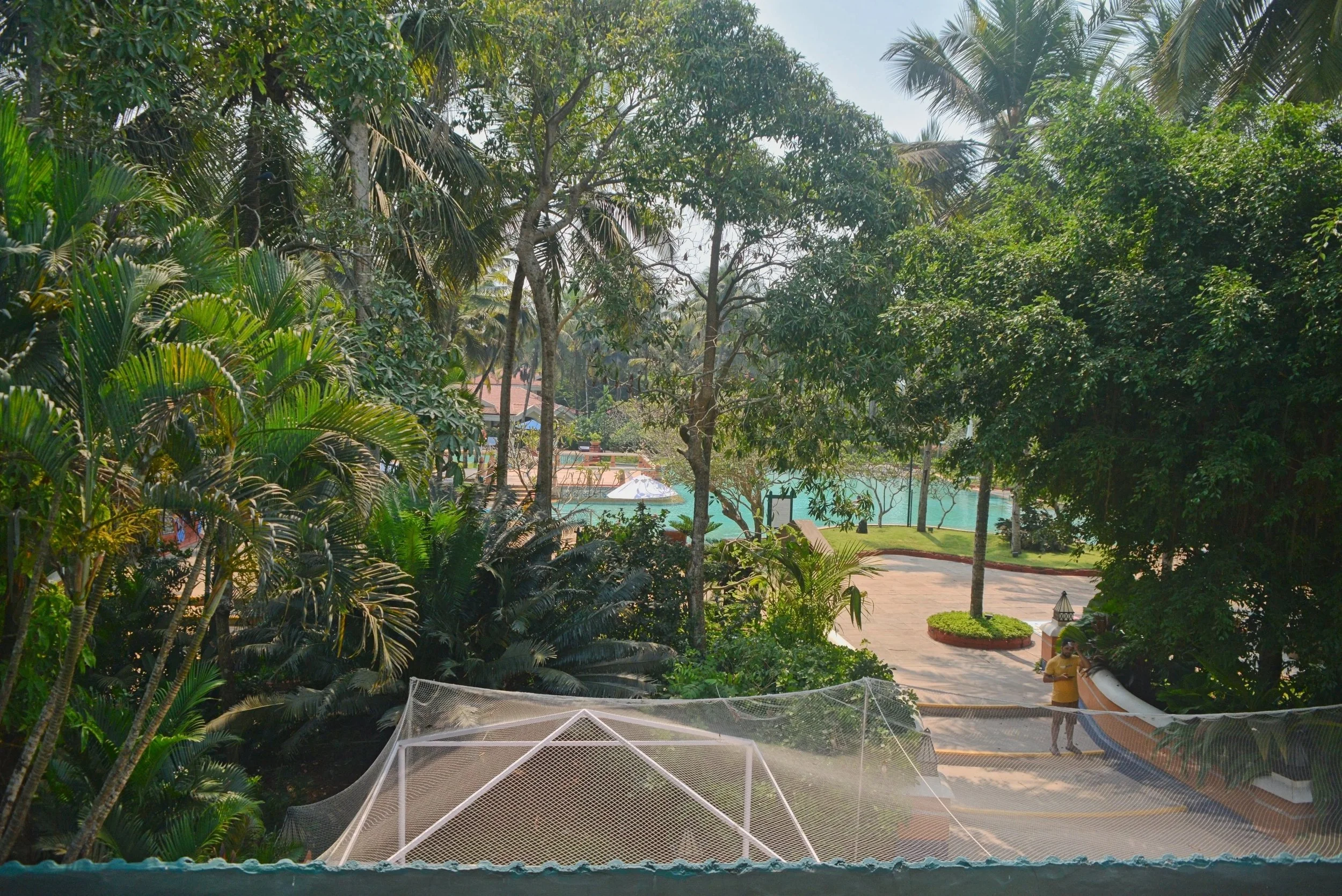 DSC_9866.jpg