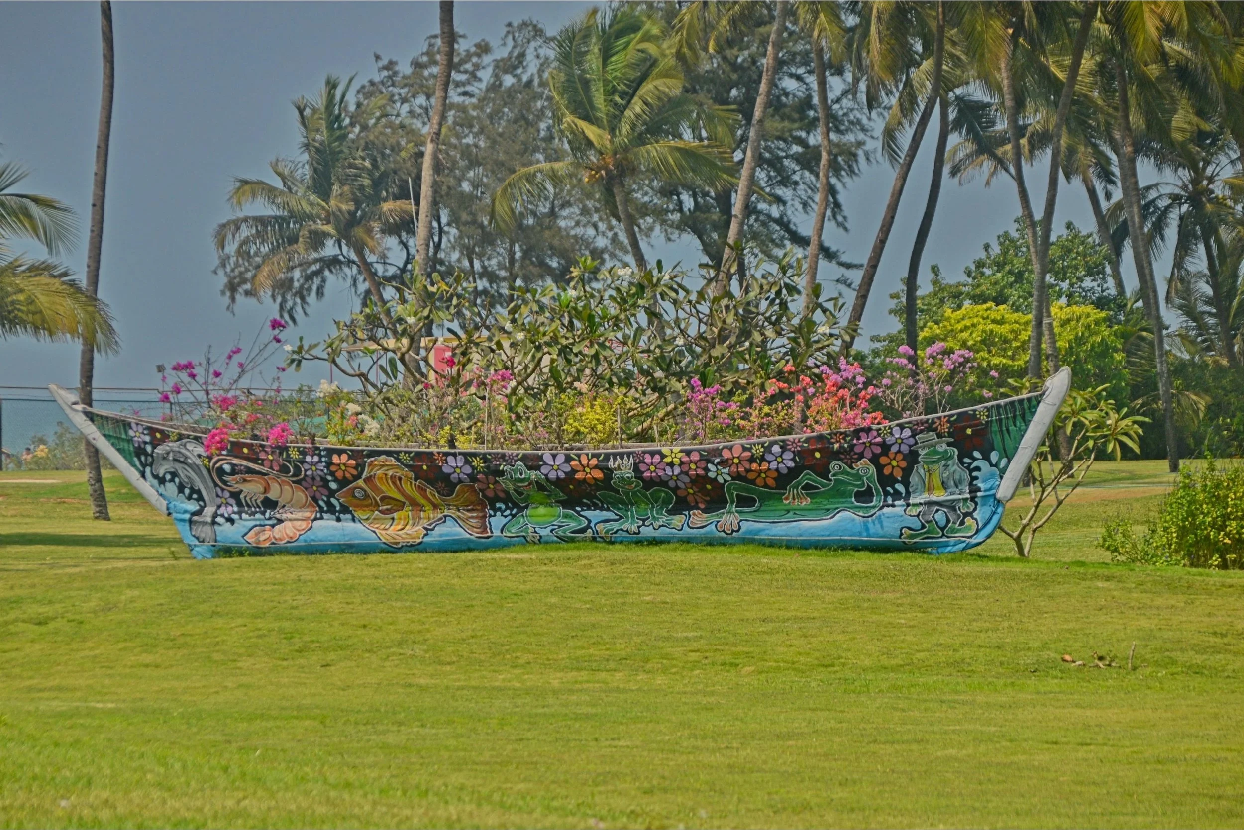 DSC_9872.jpg