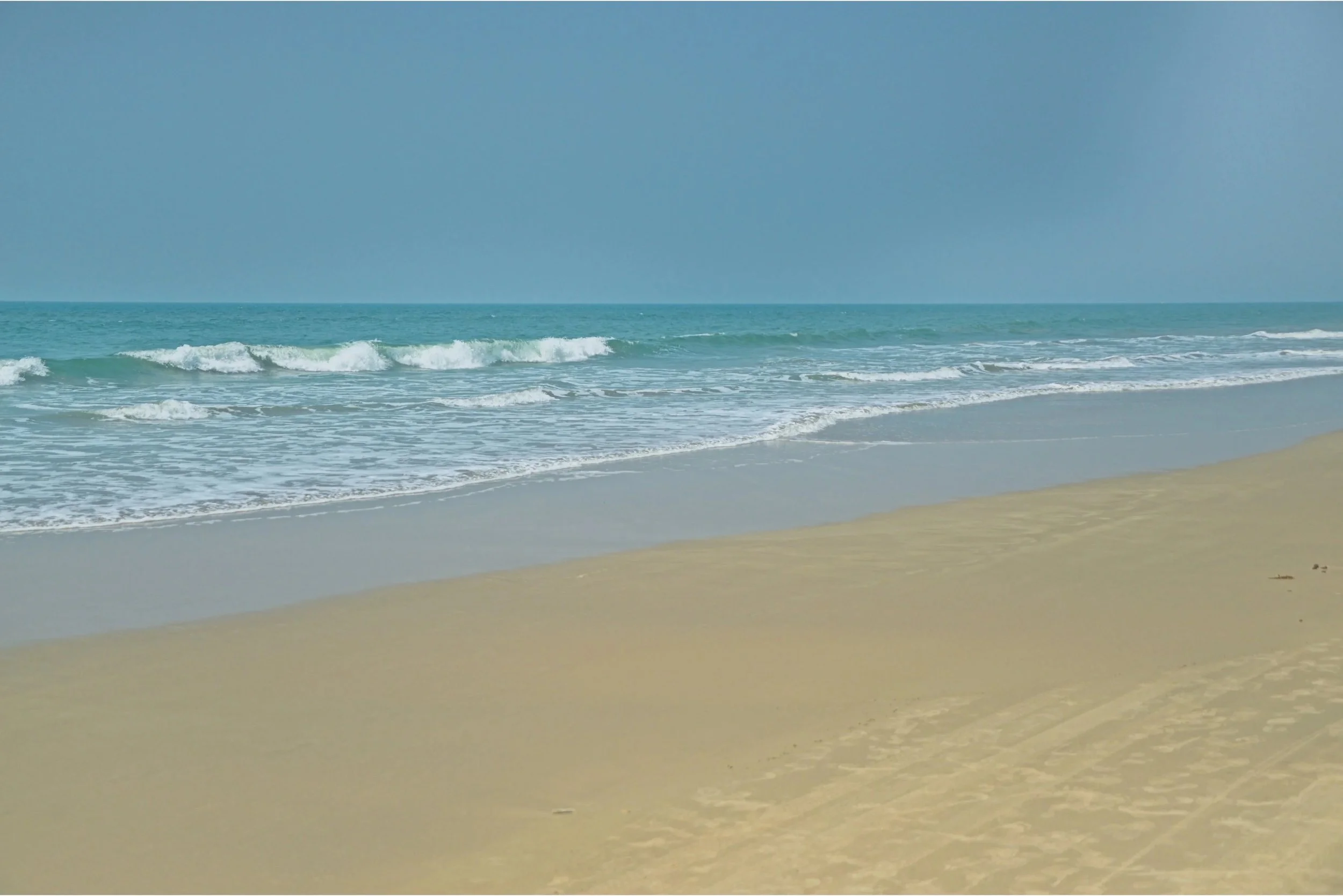 DSC_9879.jpg