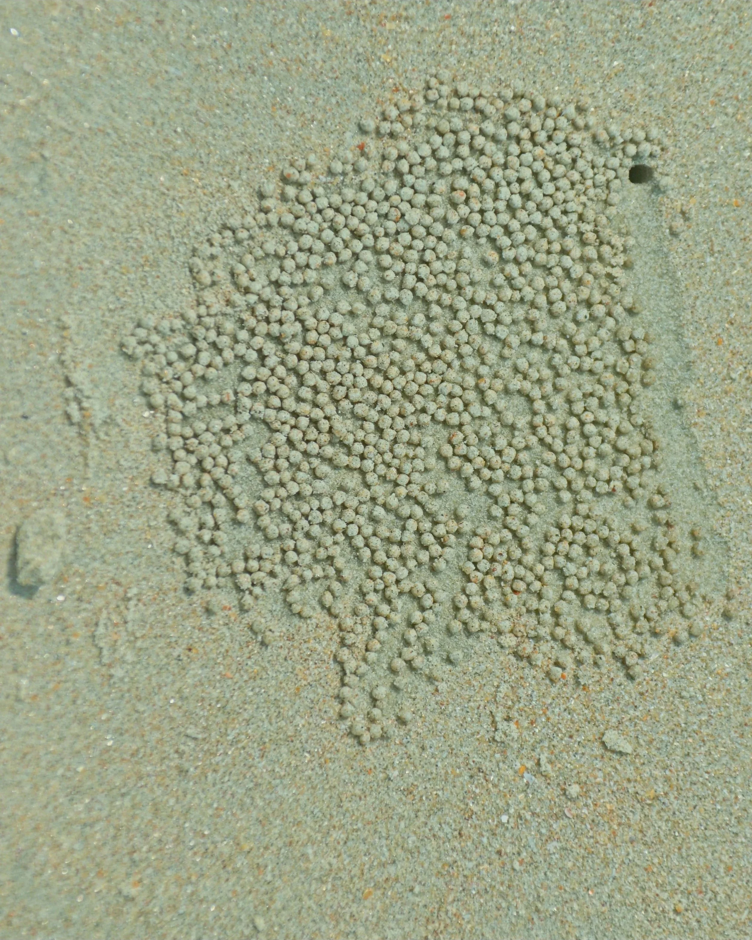 DSC_9880.jpg