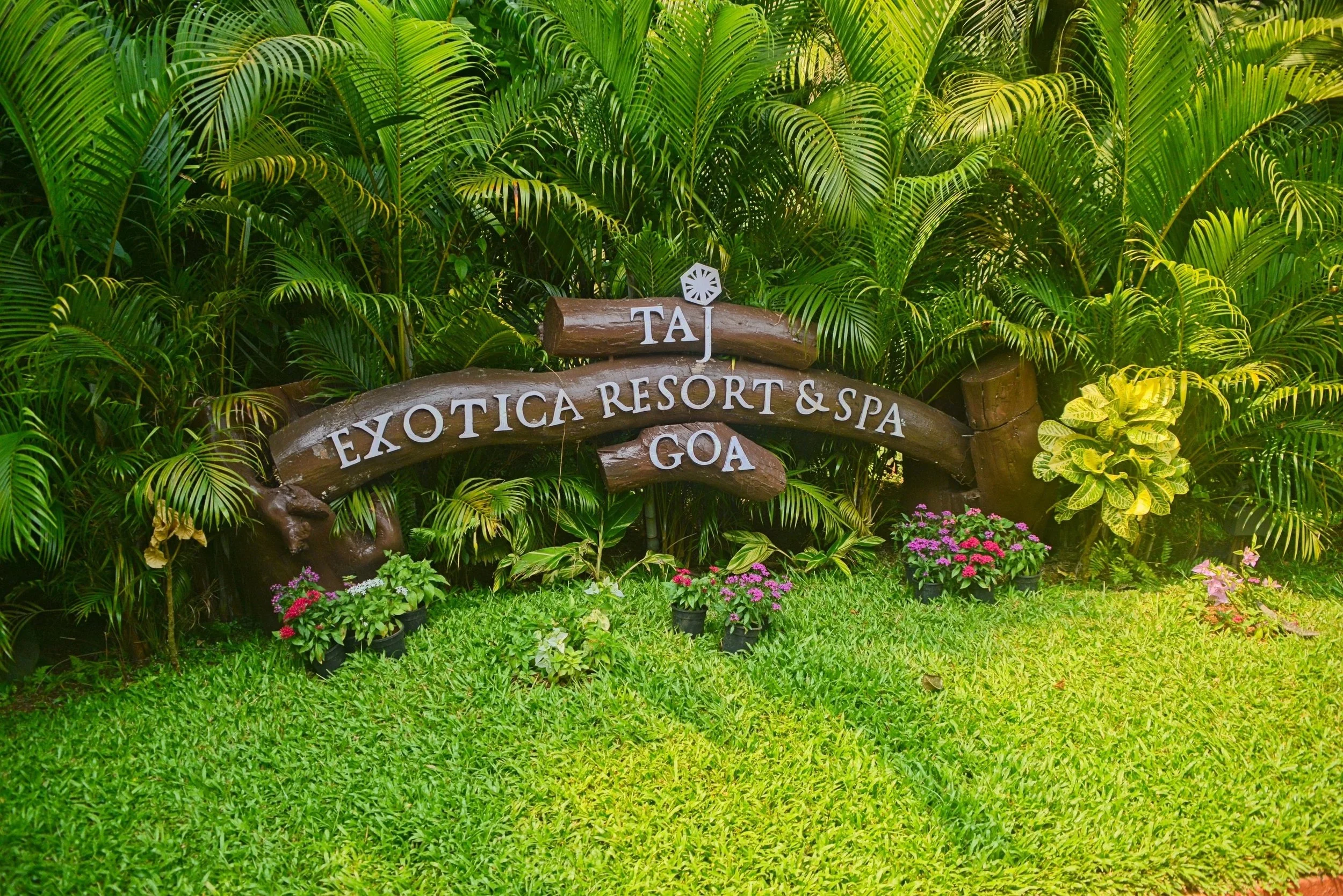 DSC_9885.jpg