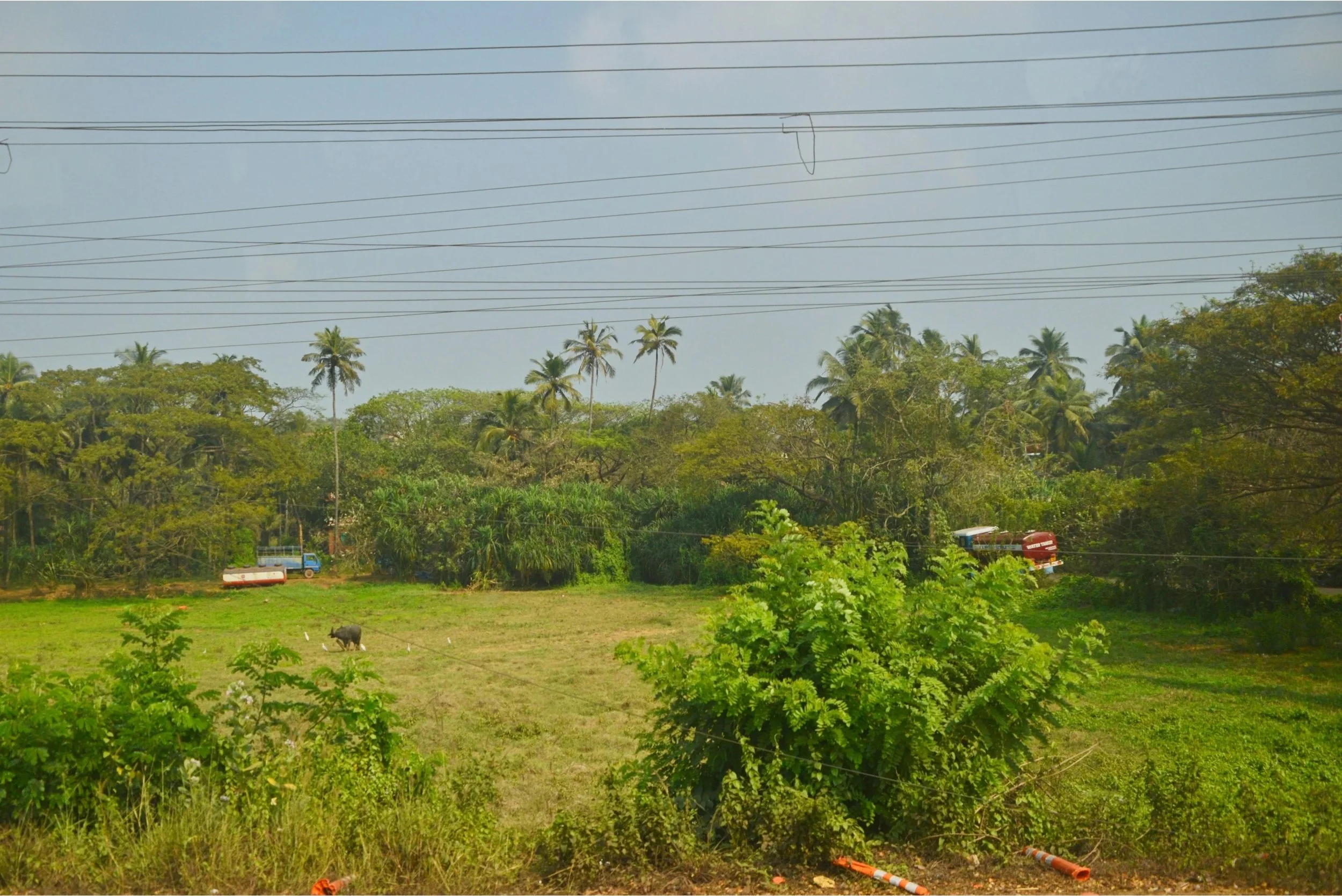 DSC_9894.jpg