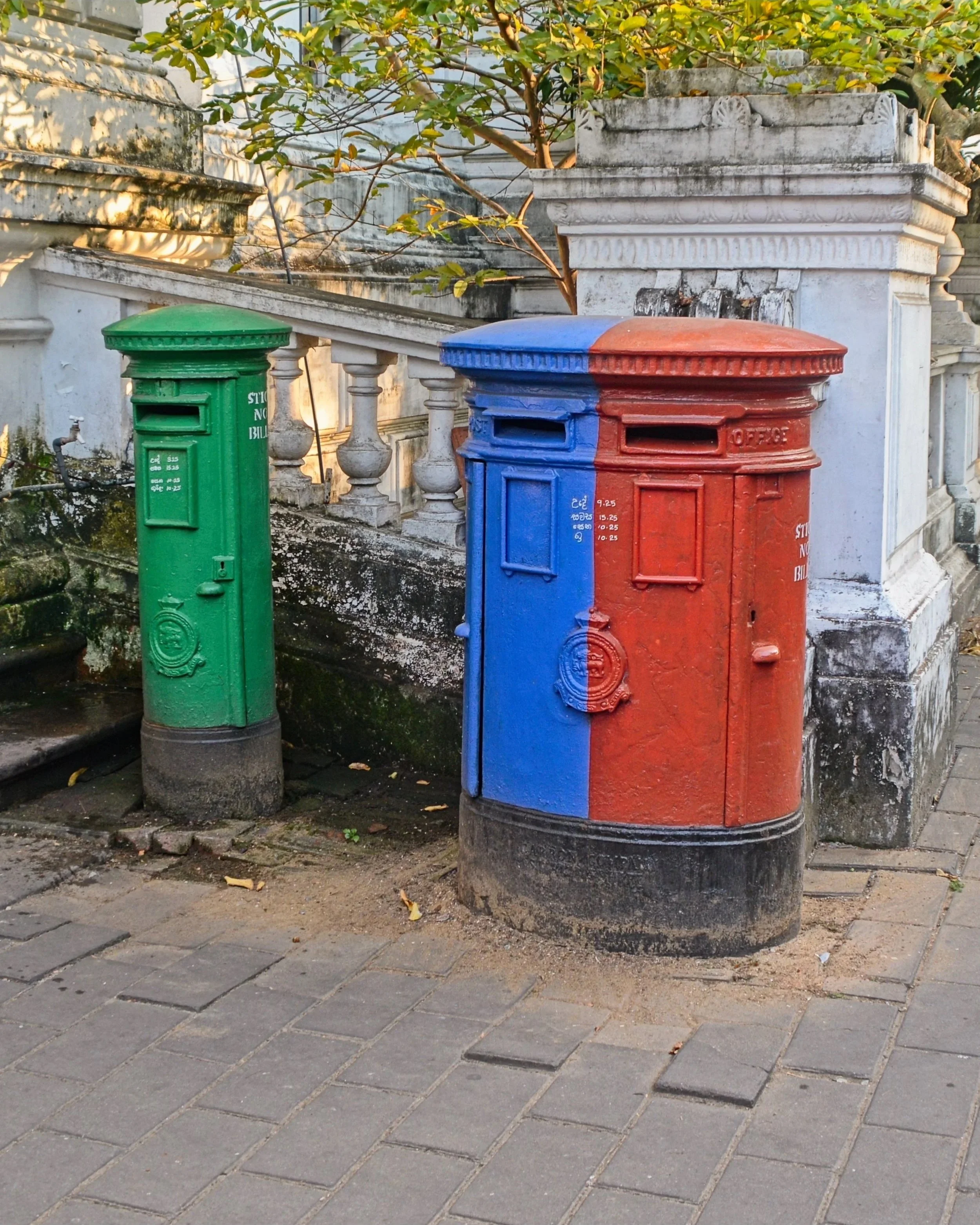 DSC_9976.jpg