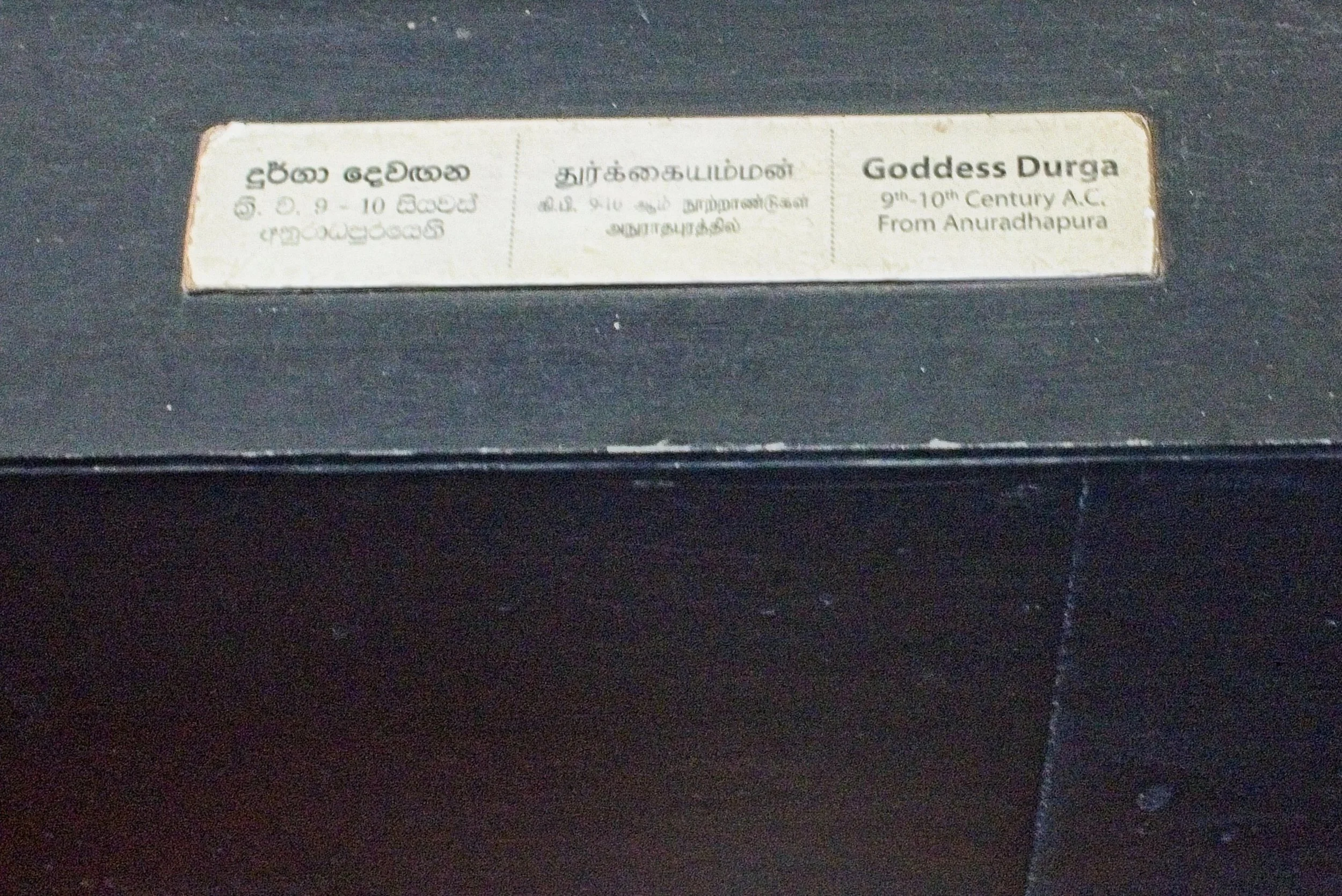DSC_0079.jpg