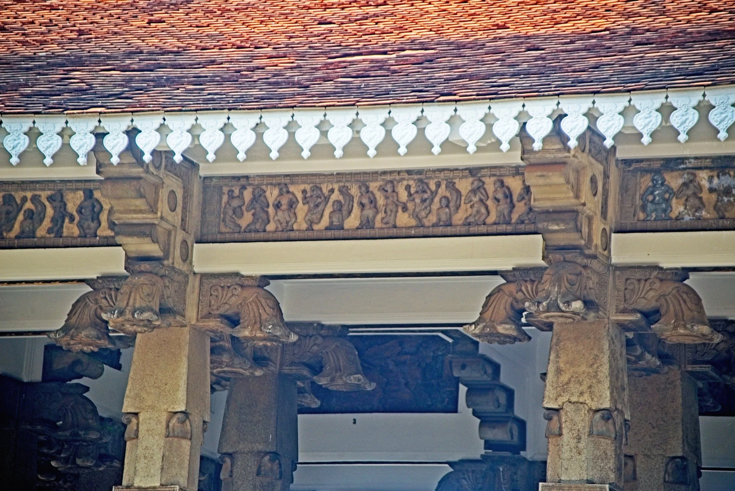 DSC_0165.jpg