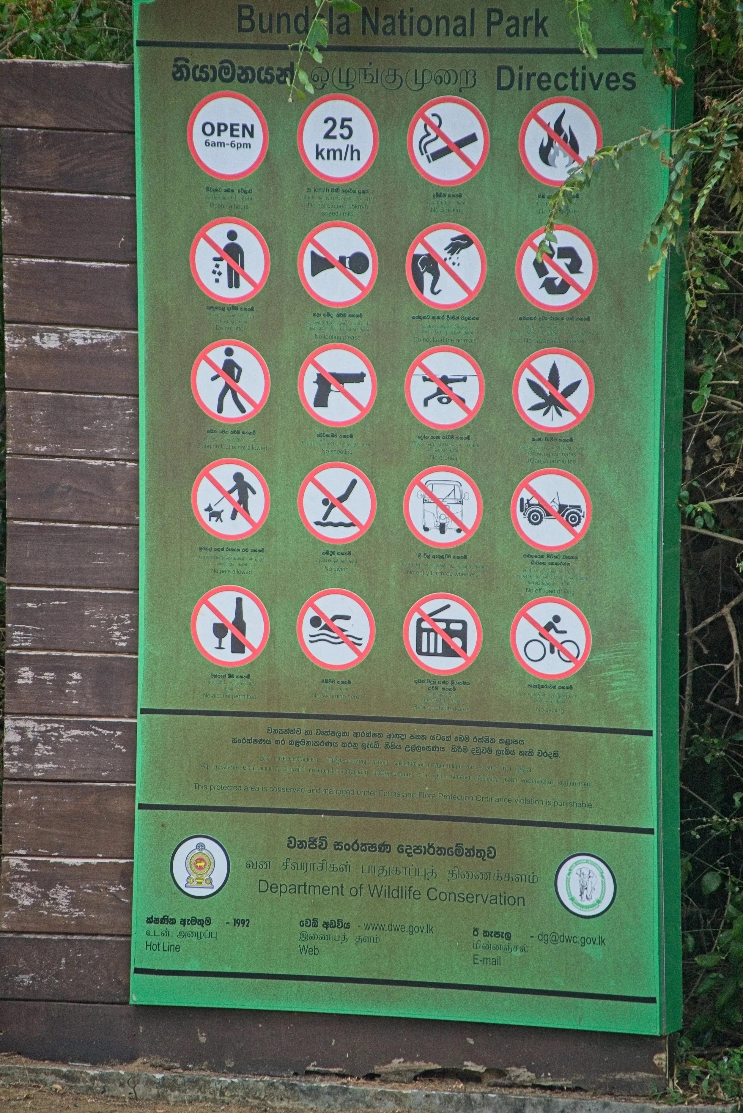 DSC_0205+1.jpg