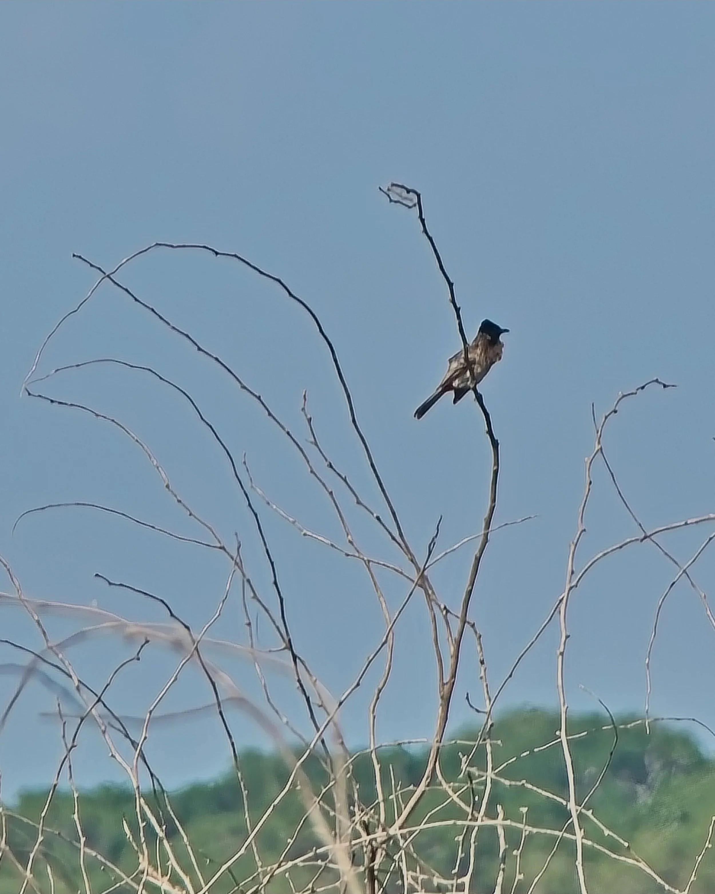 DSC_0251.jpg