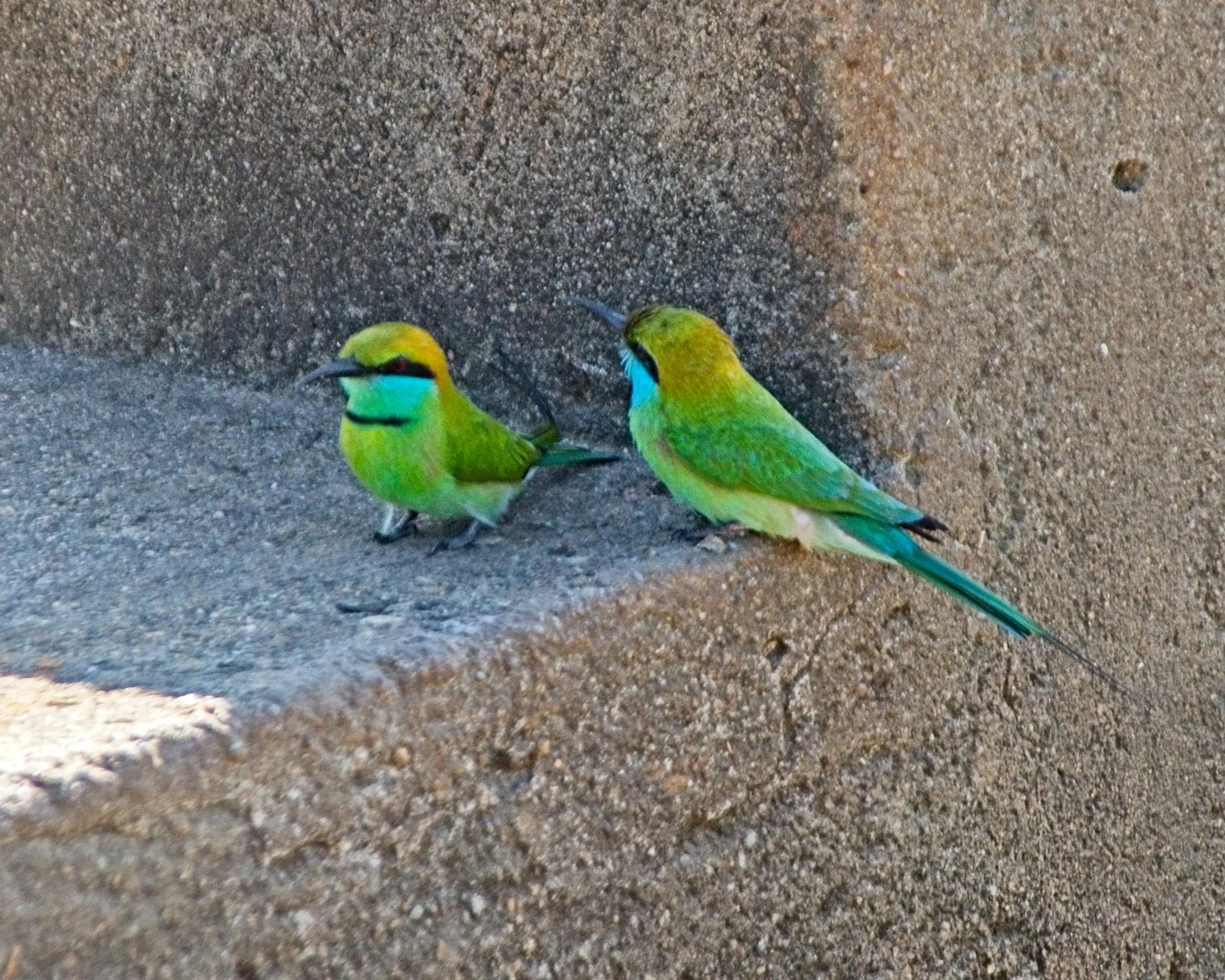DSC_0280.jpg