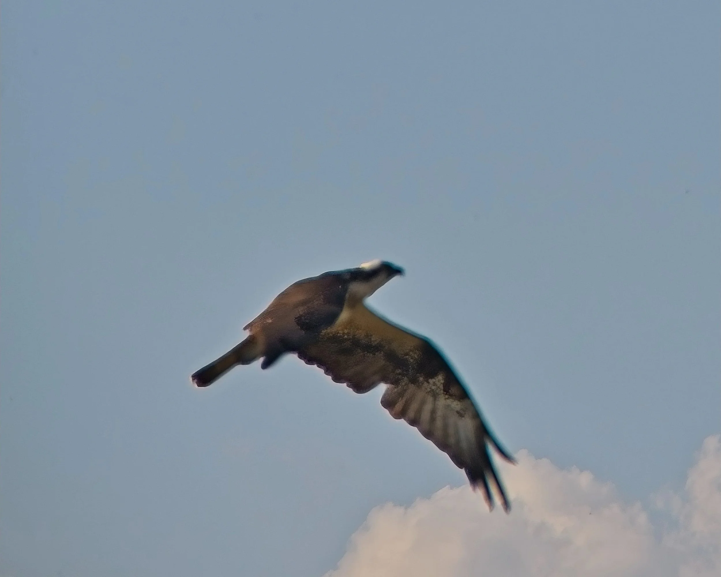 DSC_0327.jpg