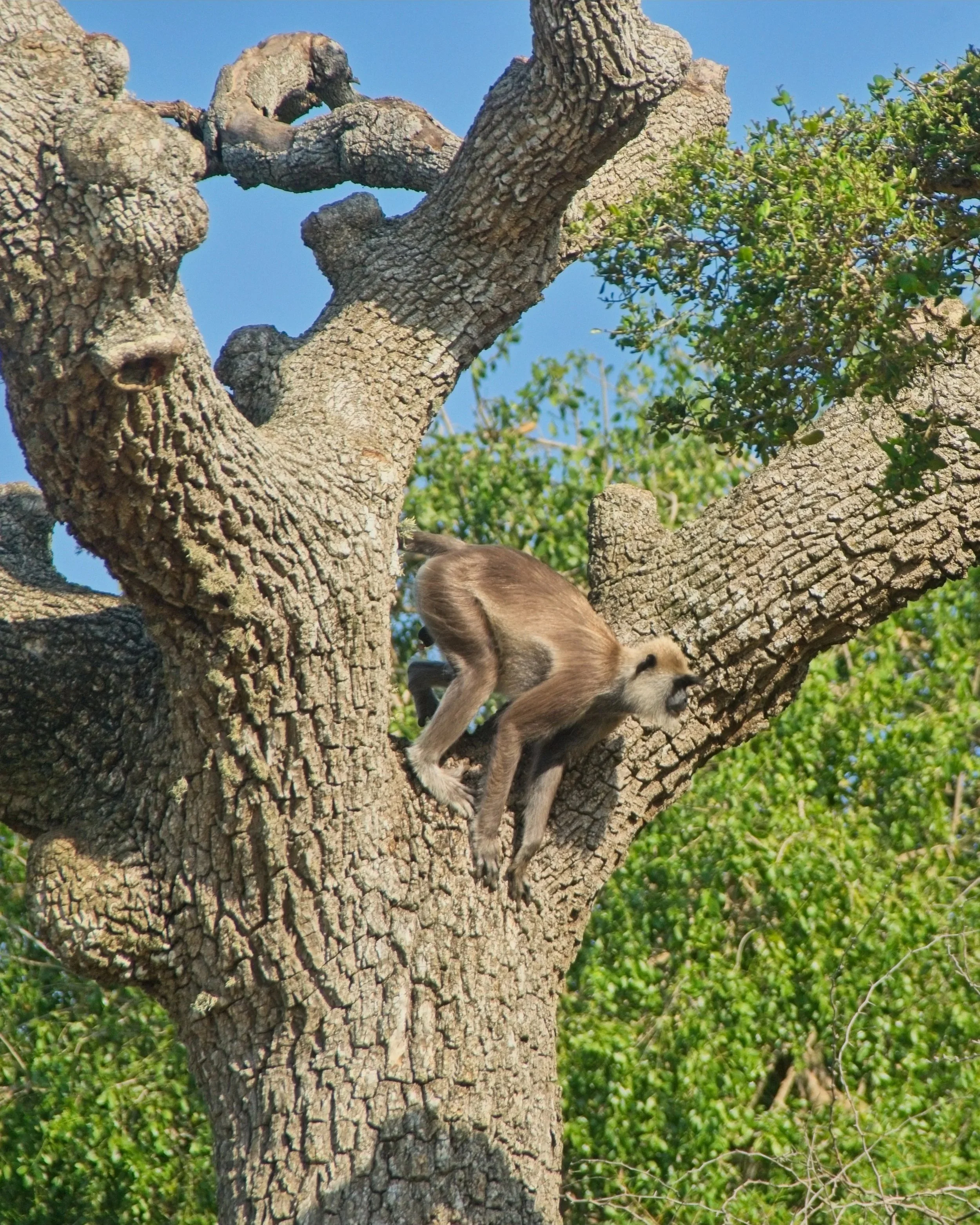 DSC_0343.jpg