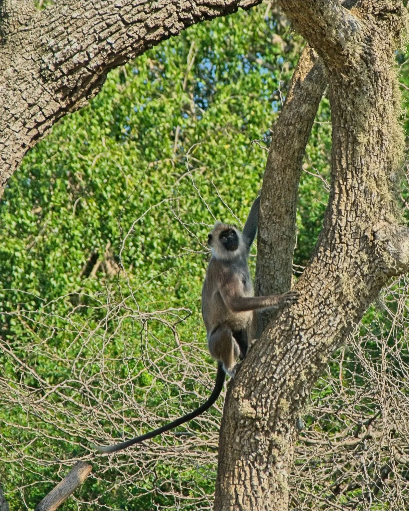 DSC_0344.jpg