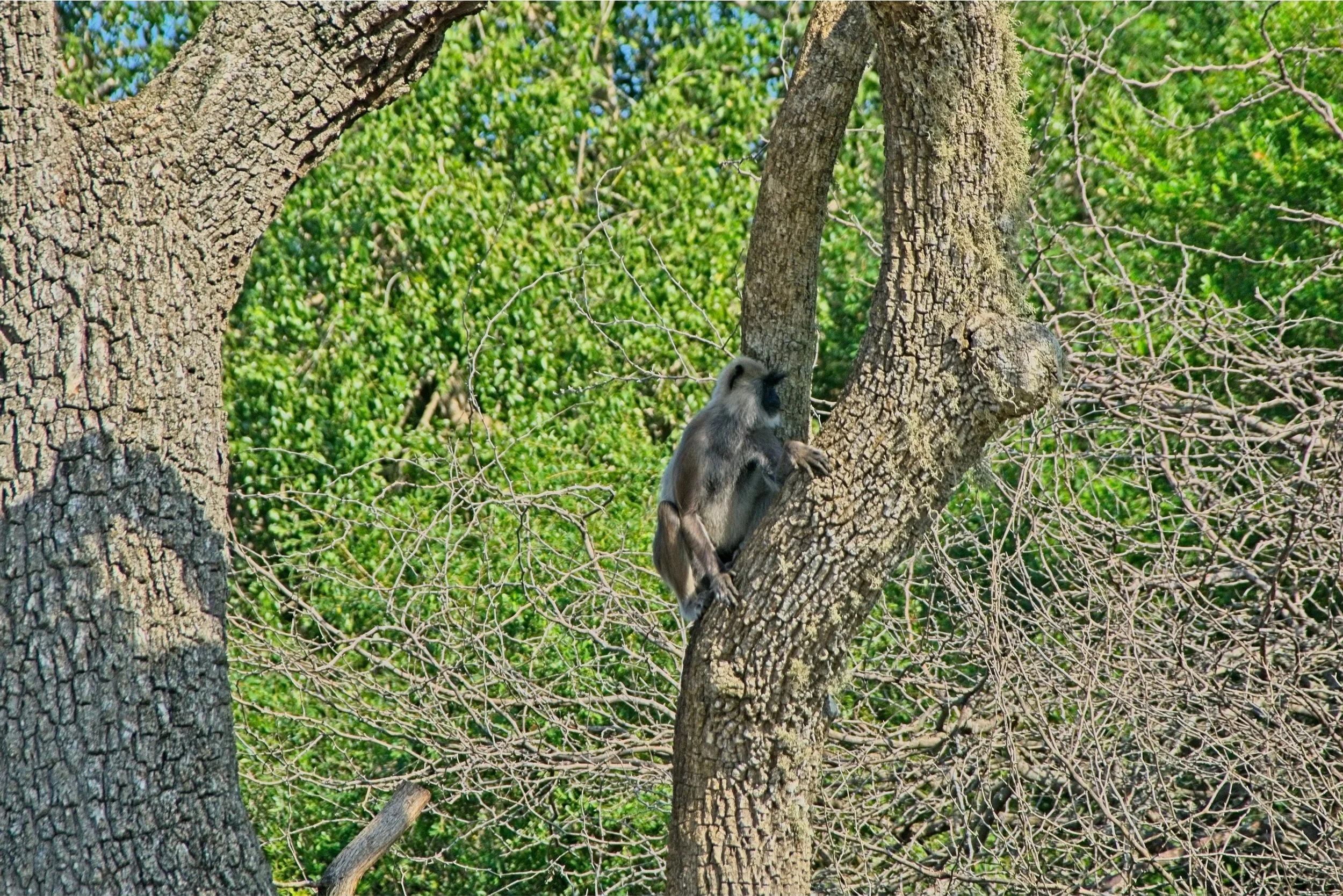 DSC_0346.jpg