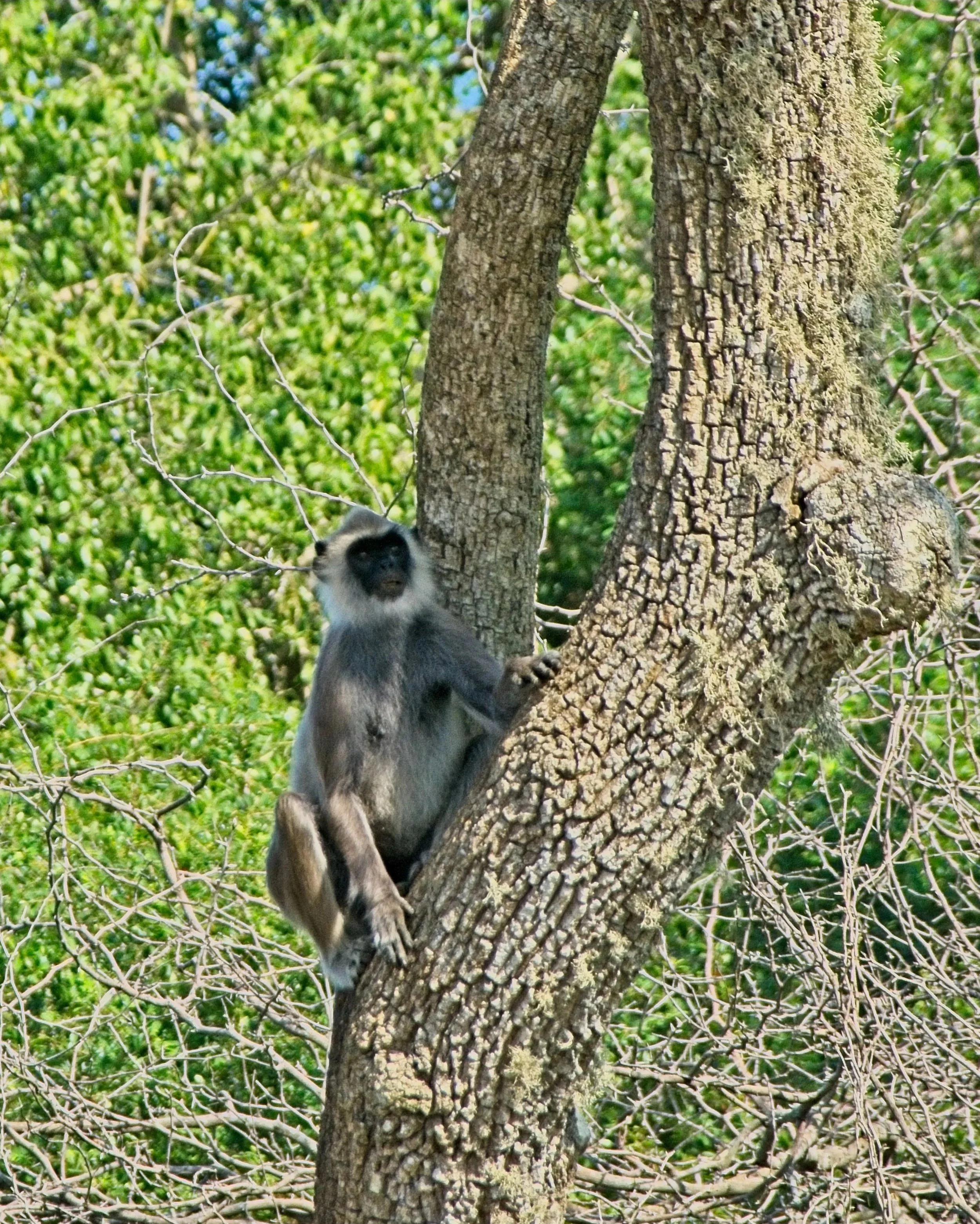 DSC_0348.jpg