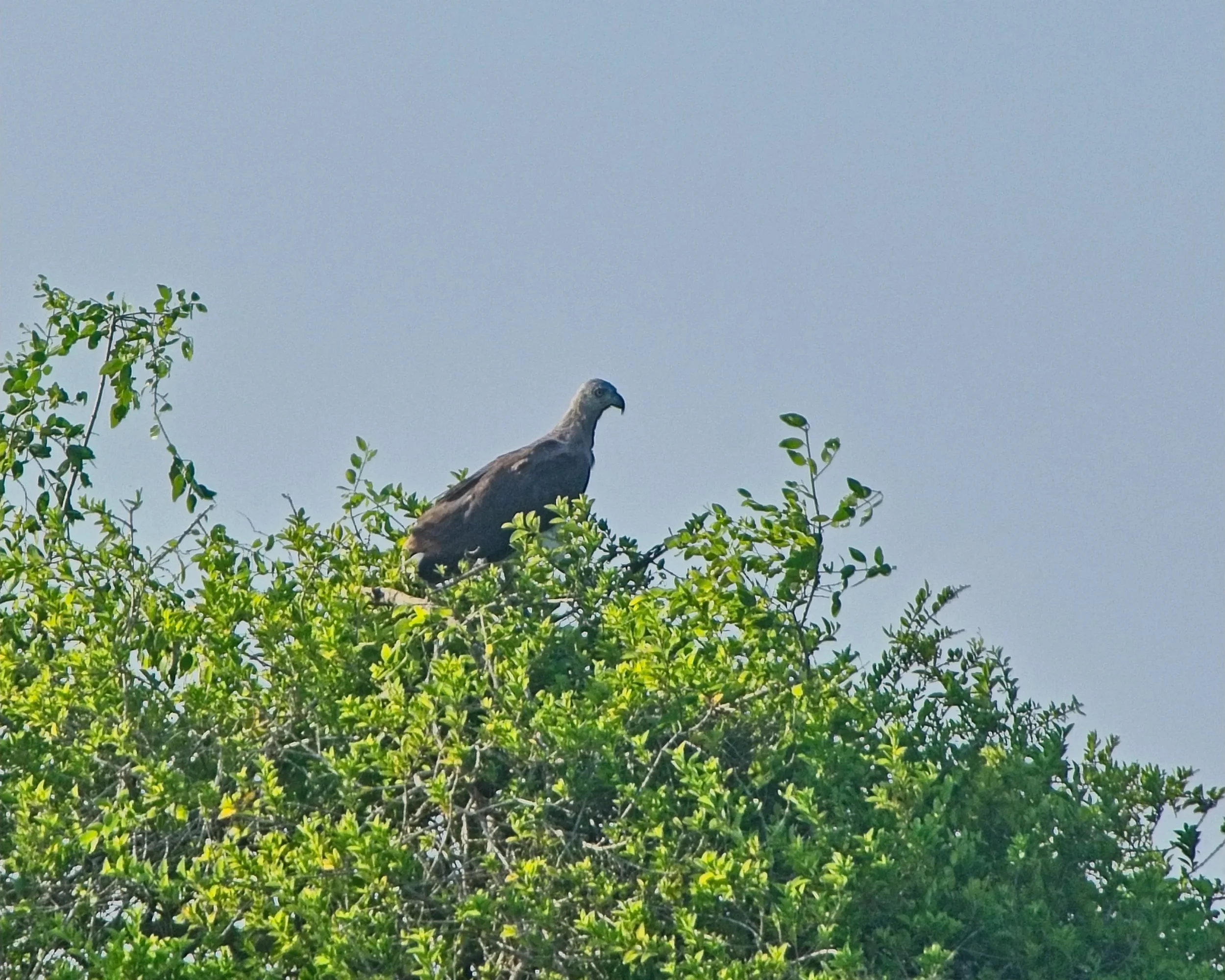 DSC_0365.jpg