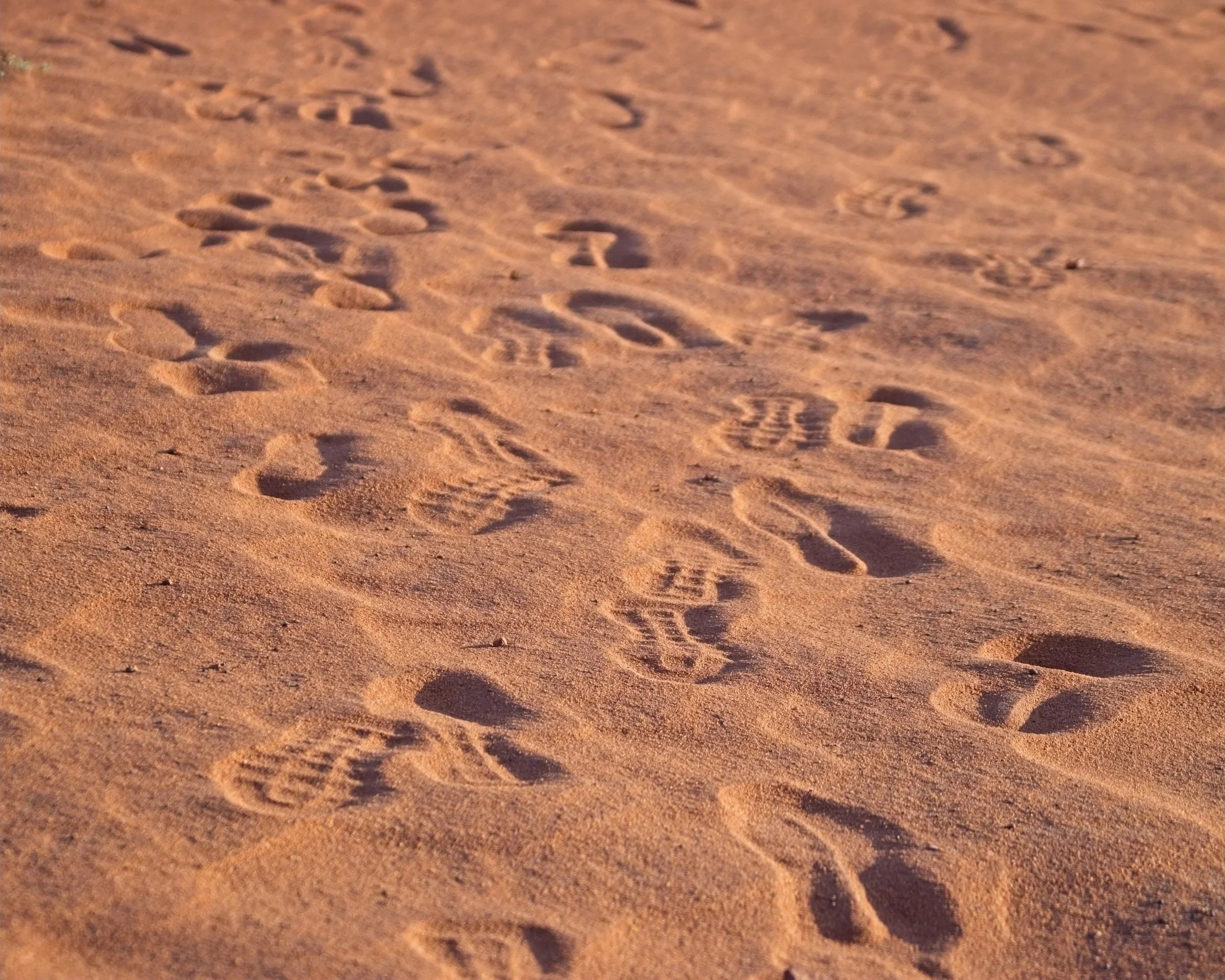 Leave nothing behind but your footprints in the sand.