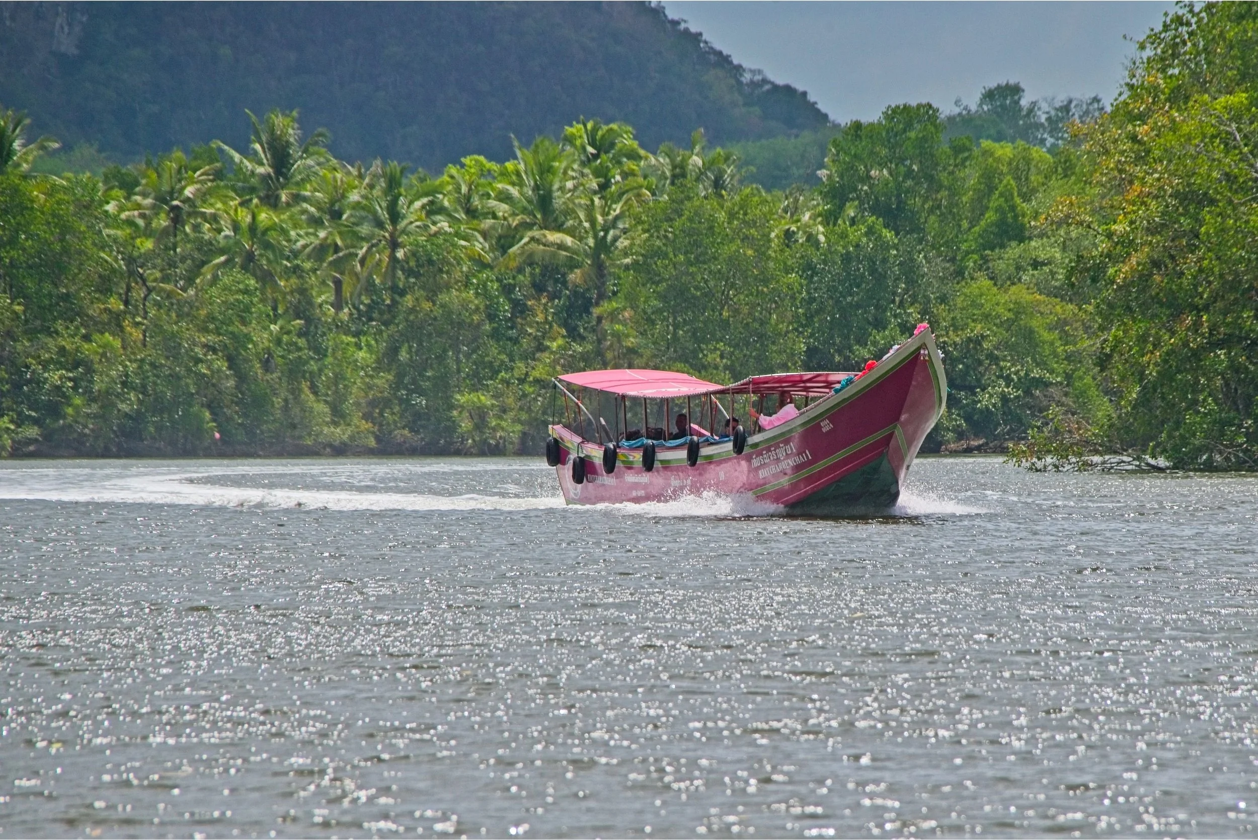 DSC_0447.jpg