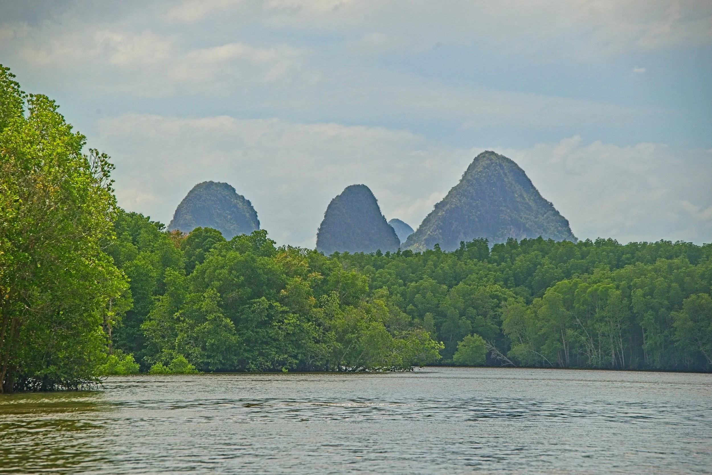 DSC_0449.jpg