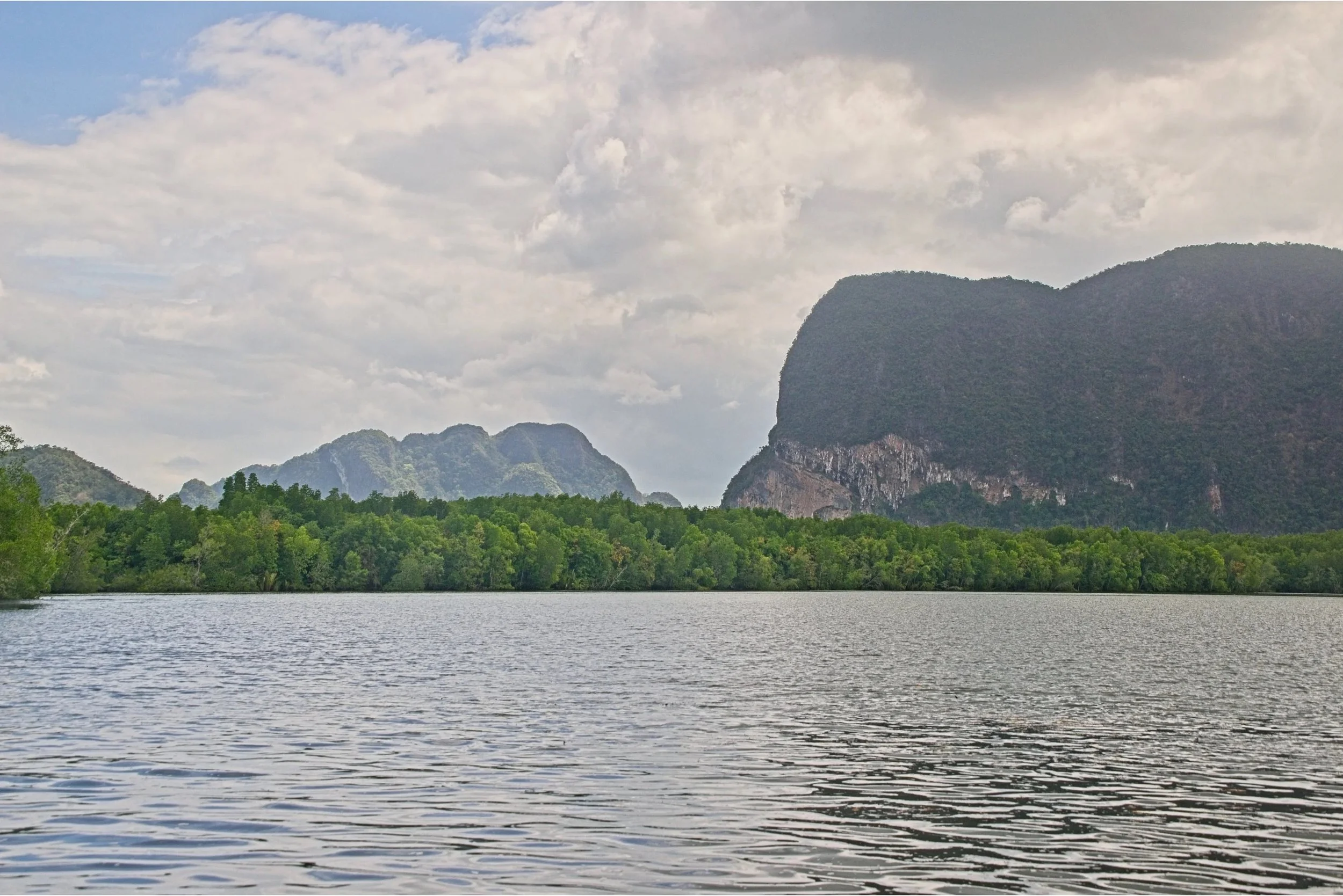 DSC_0450.jpg