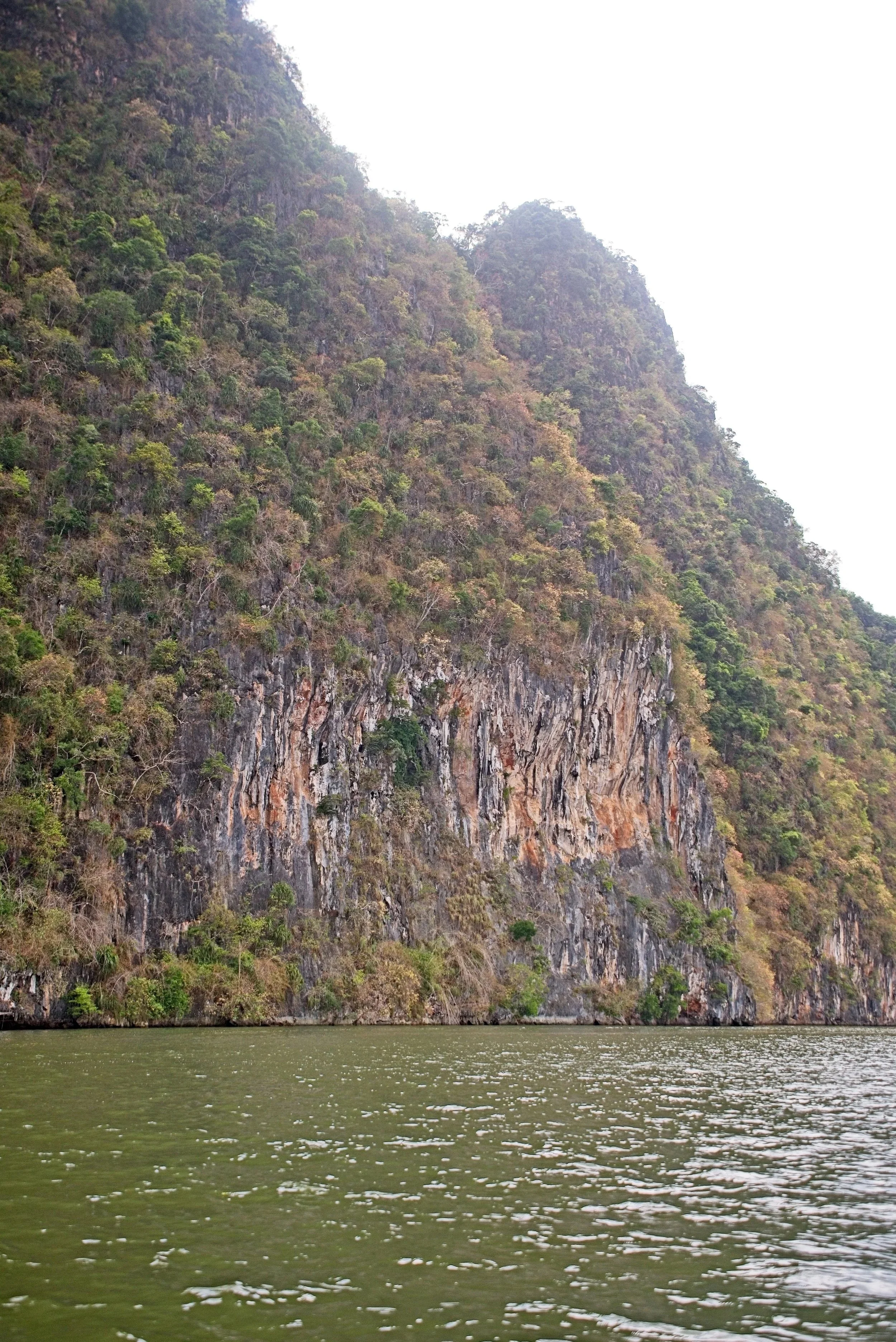 DSC_0452.jpg