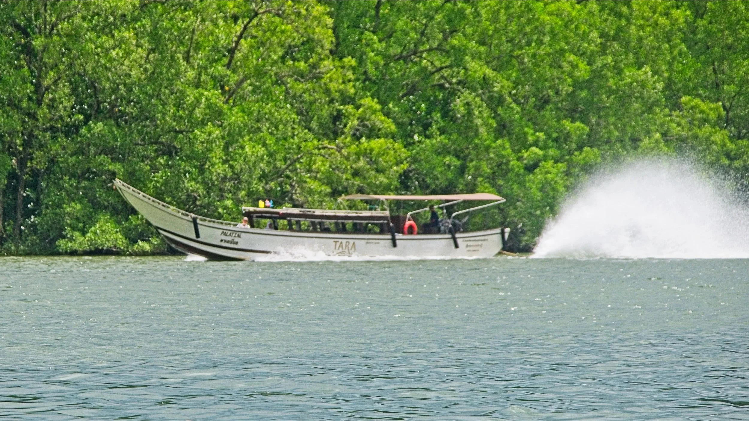 DSC_0458.jpg