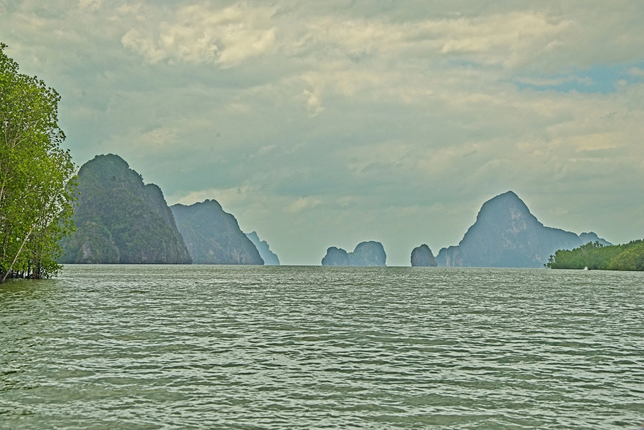DSC_0461.jpg