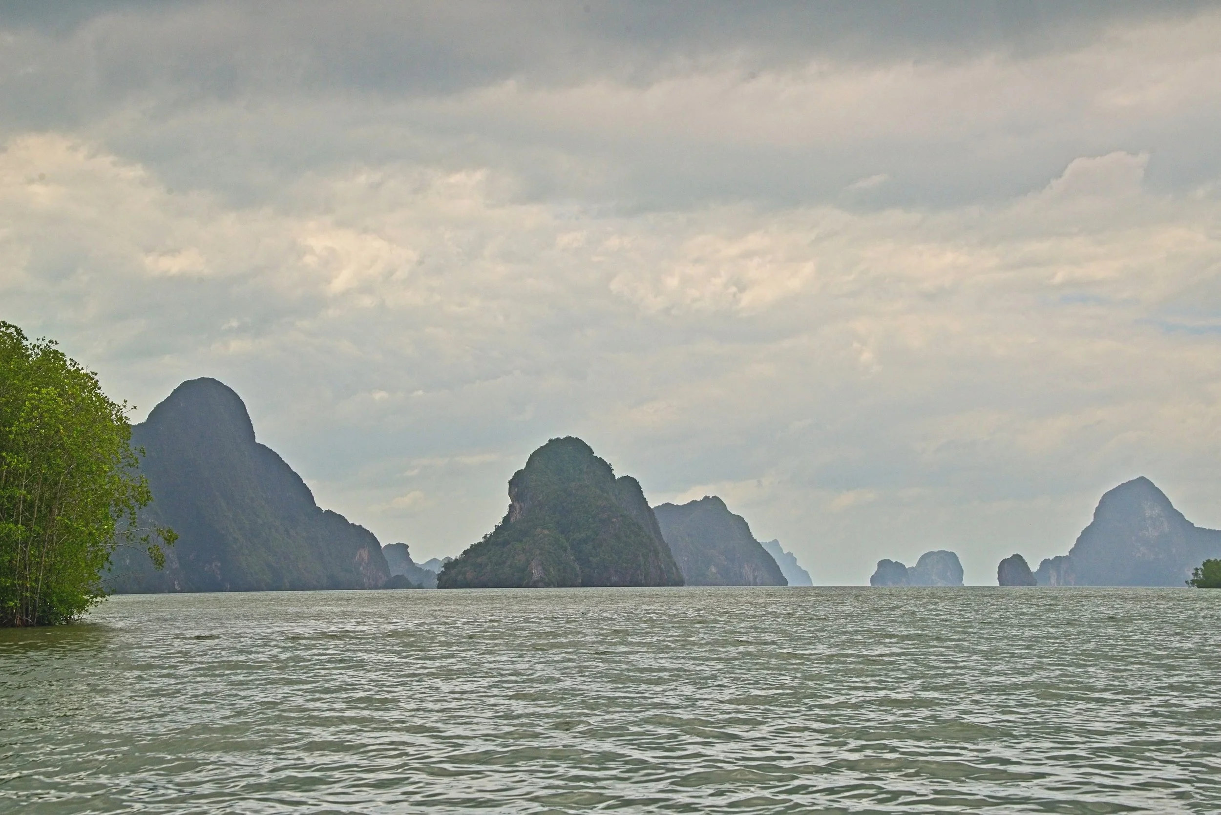 DSC_0462.jpg