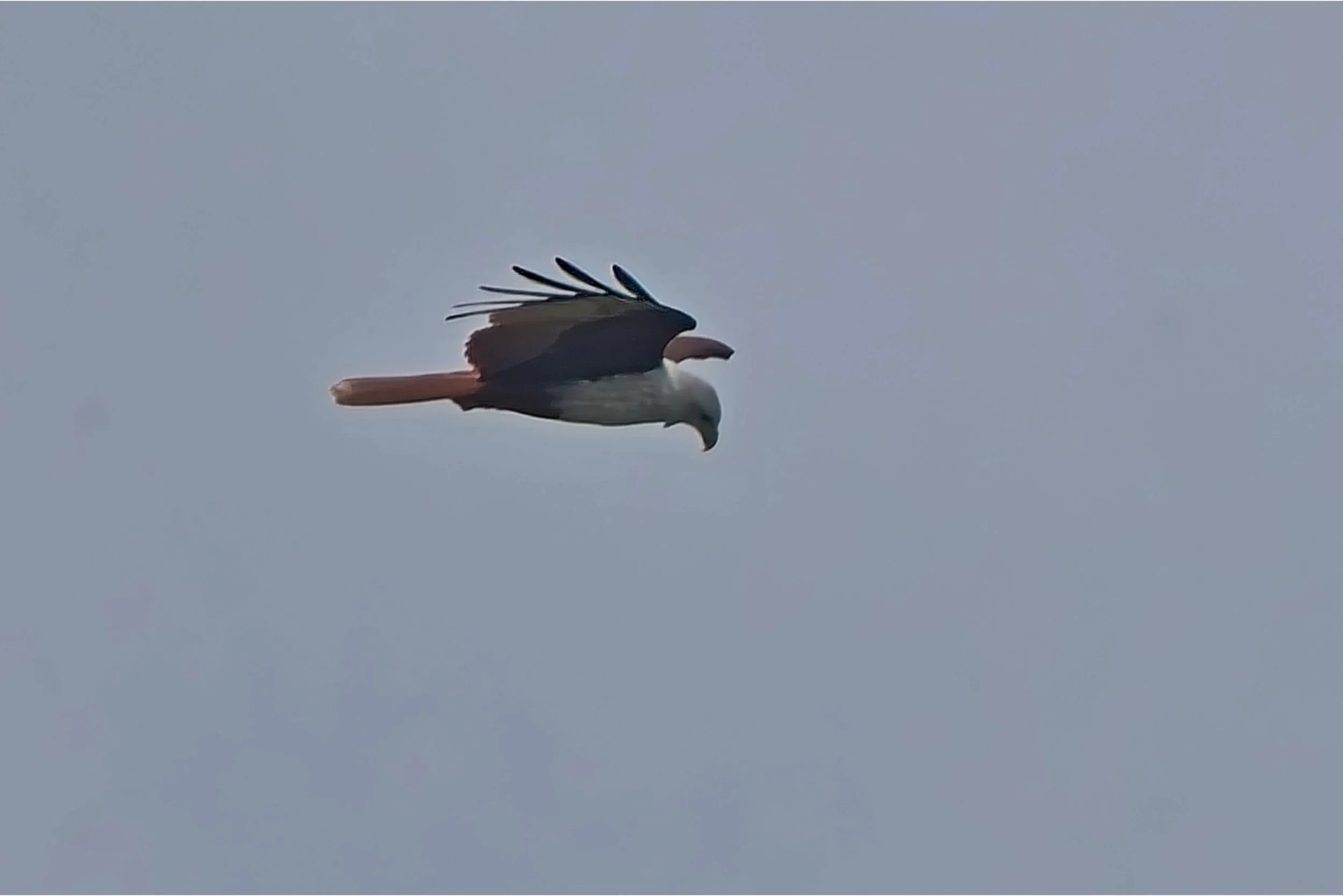 DSC_0469.jpg