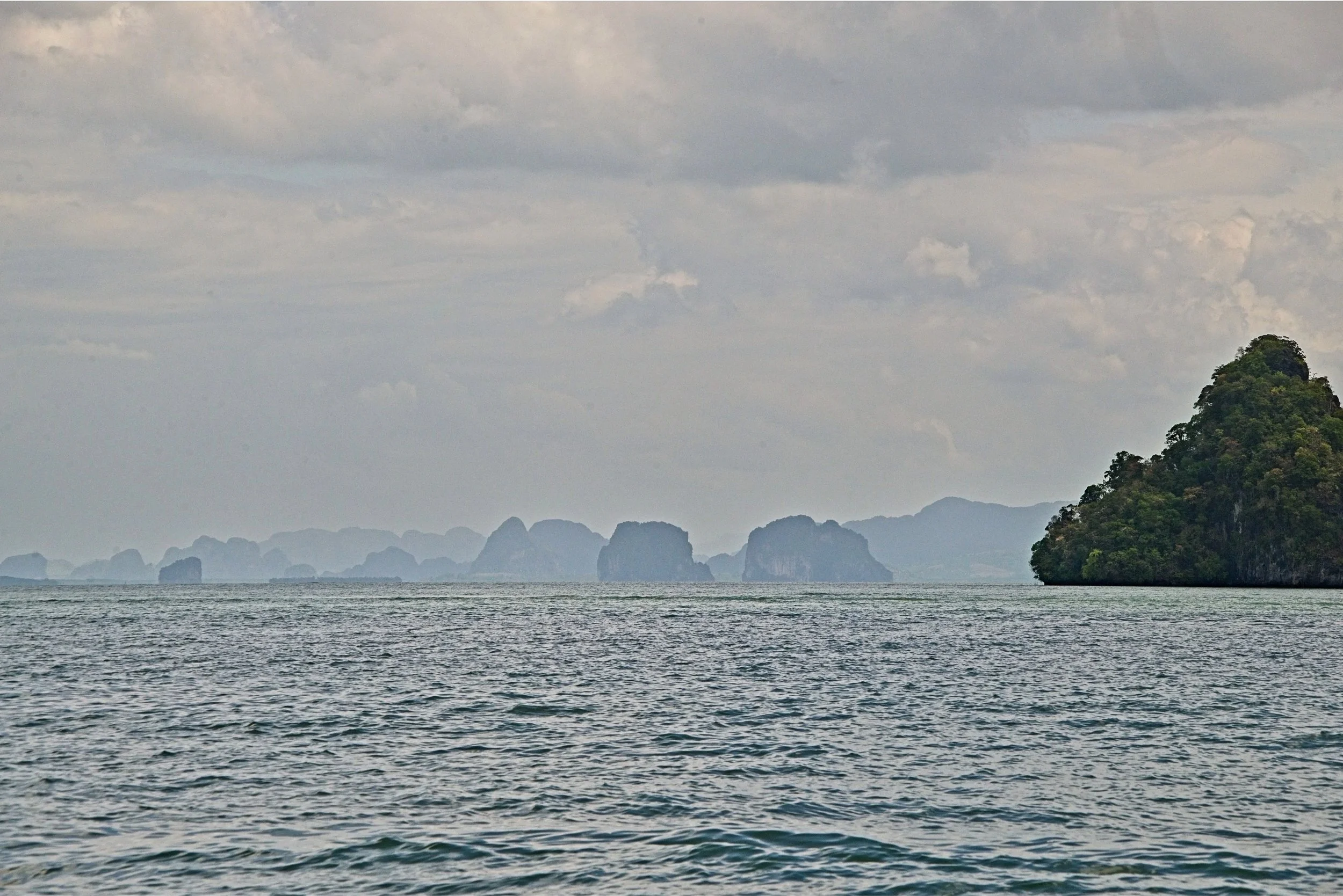 DSC_0503.jpg