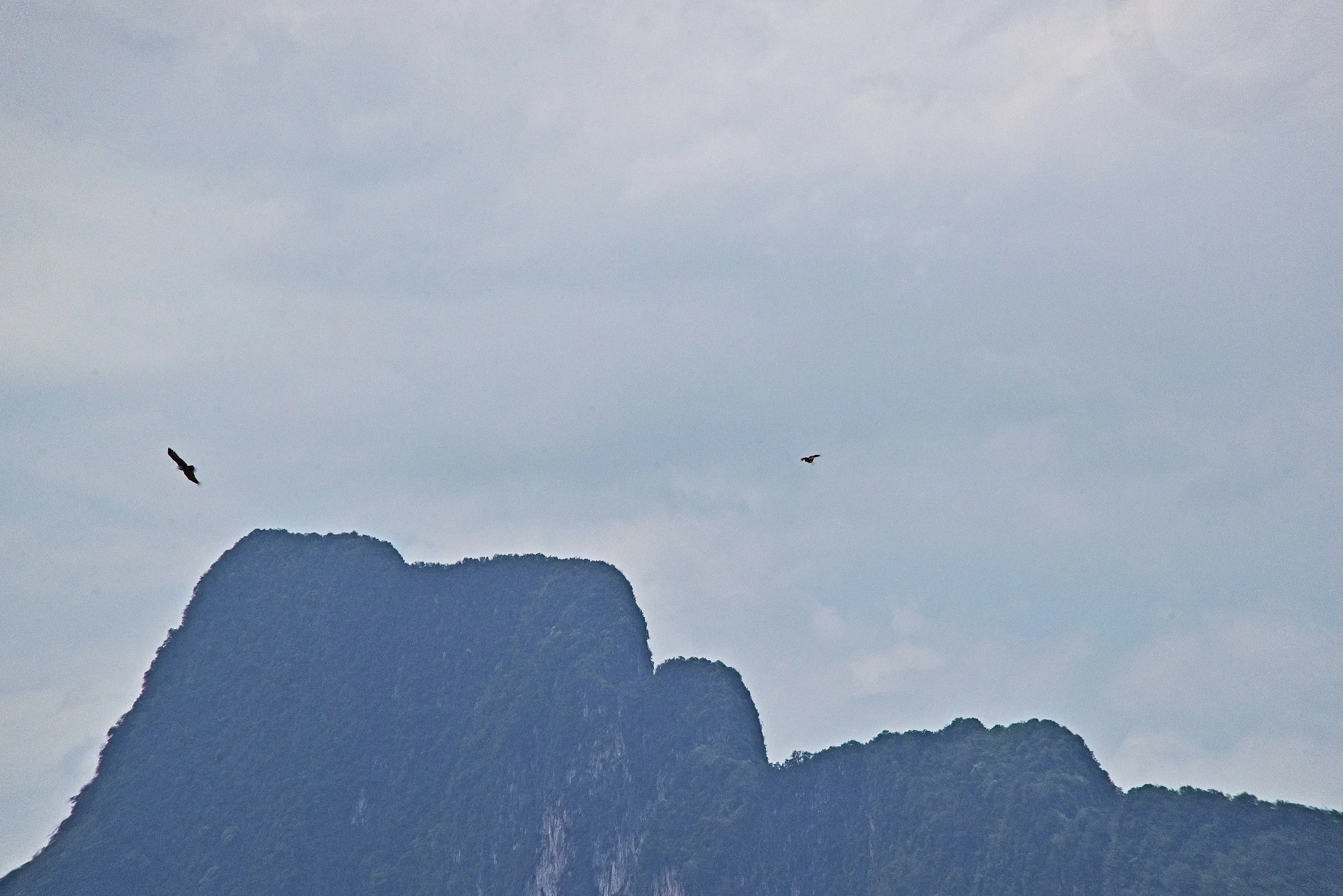 DSC_0518.jpg