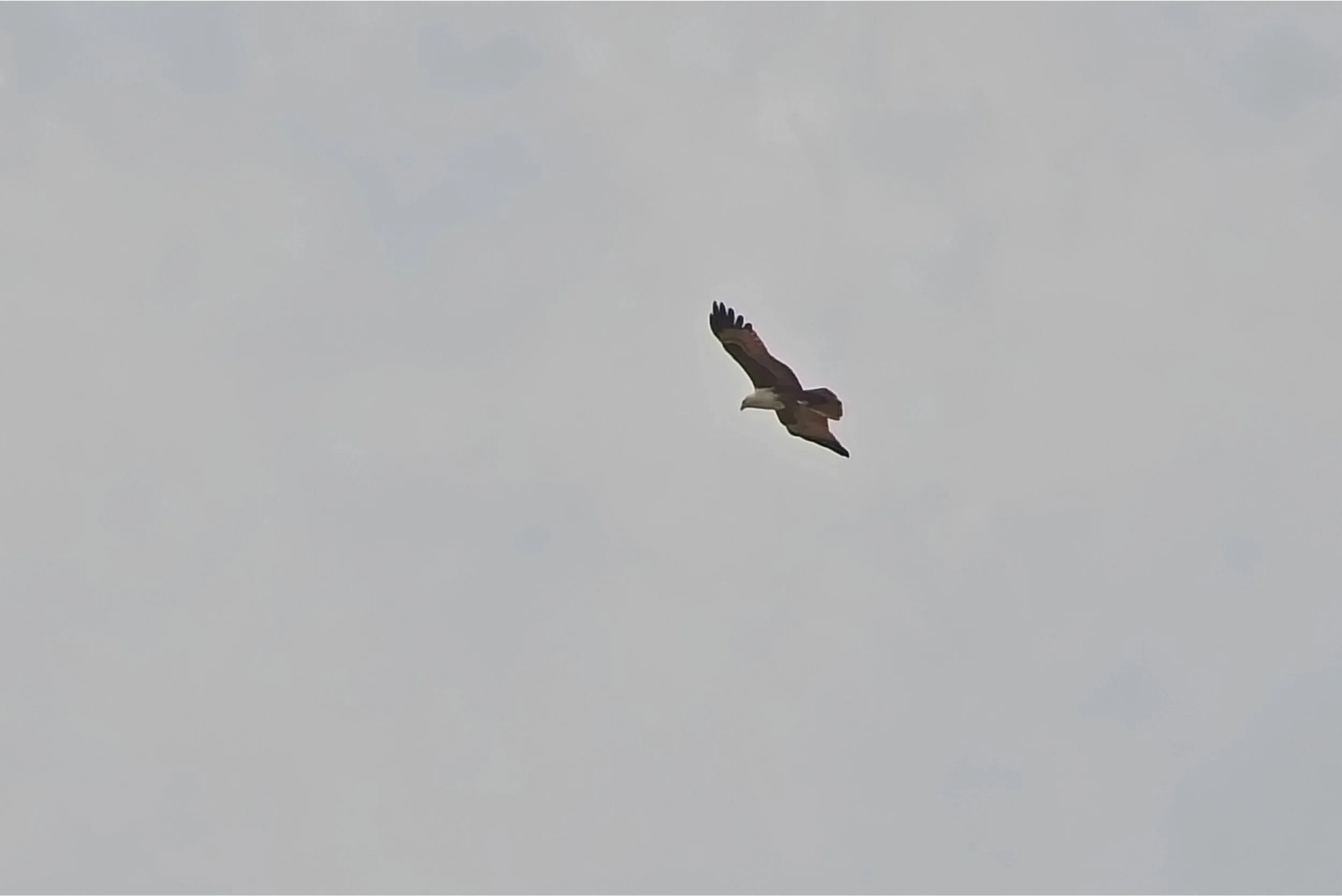 DSC_0545.jpg