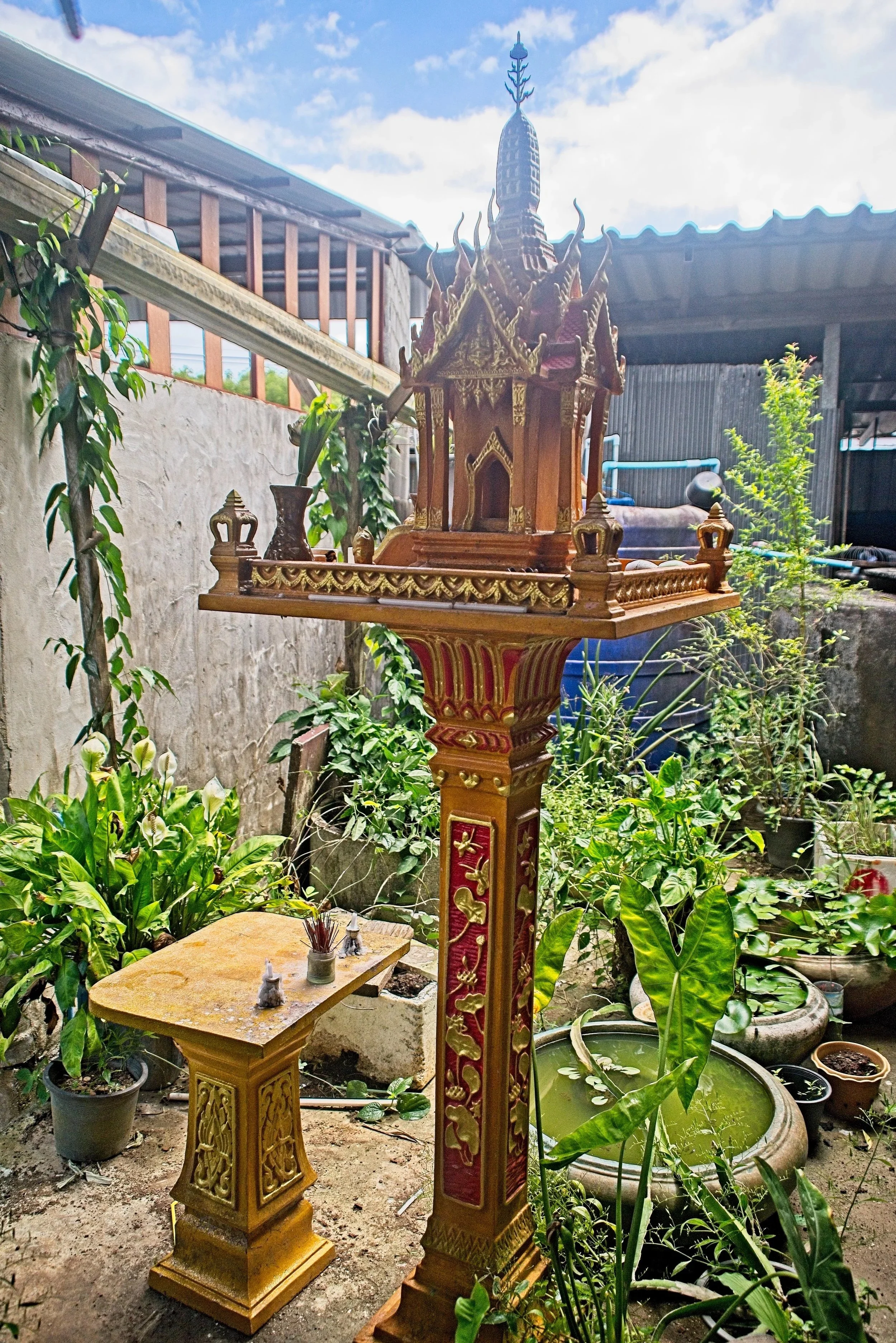 DSC_0552.jpg