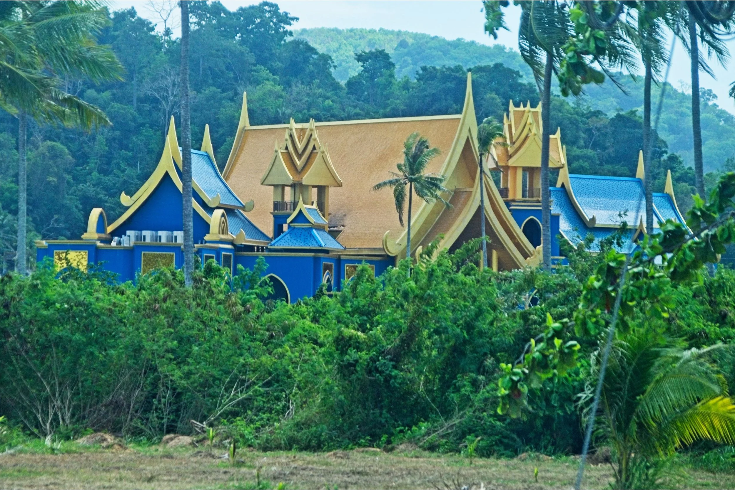 DSC_0555.jpg