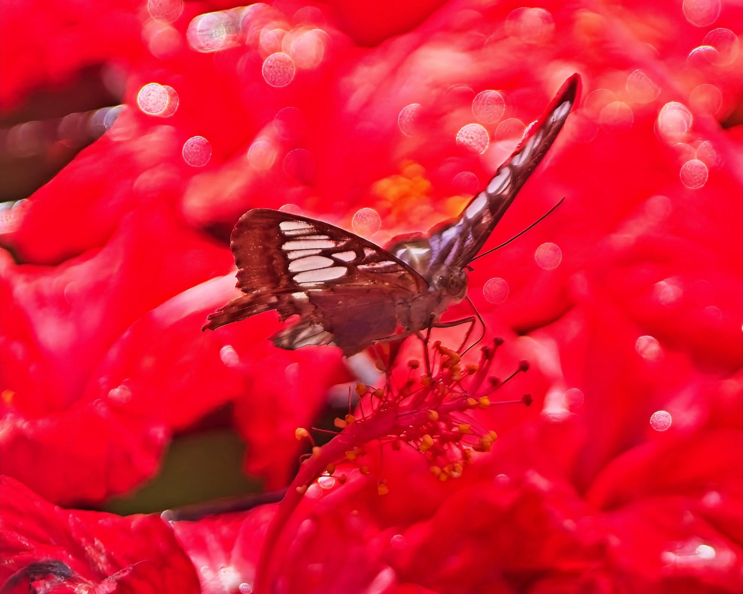DSC_0609.jpg