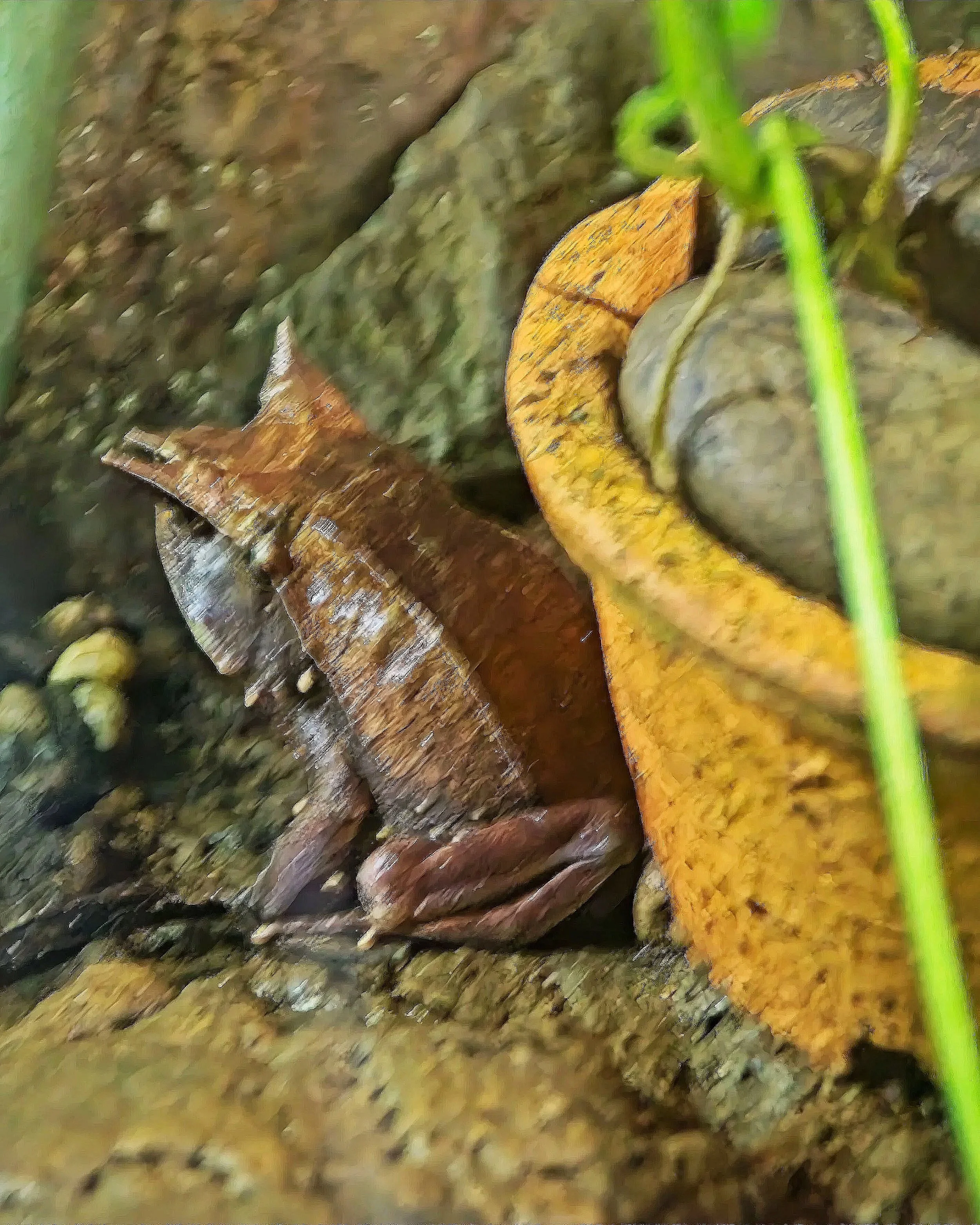 DSC_0584.jpg